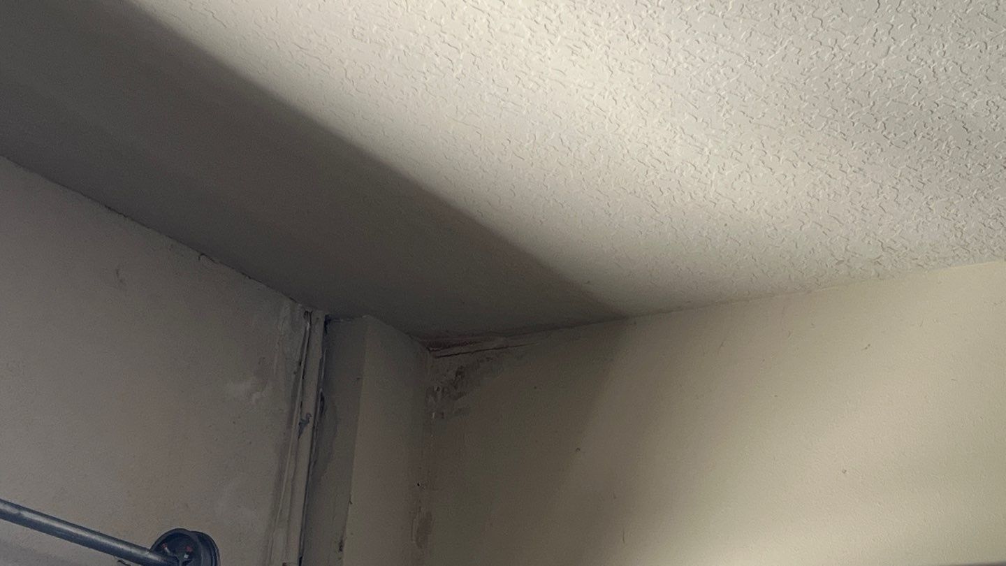 Shingle Roof Repair by RoofSmith of Tampa Bay