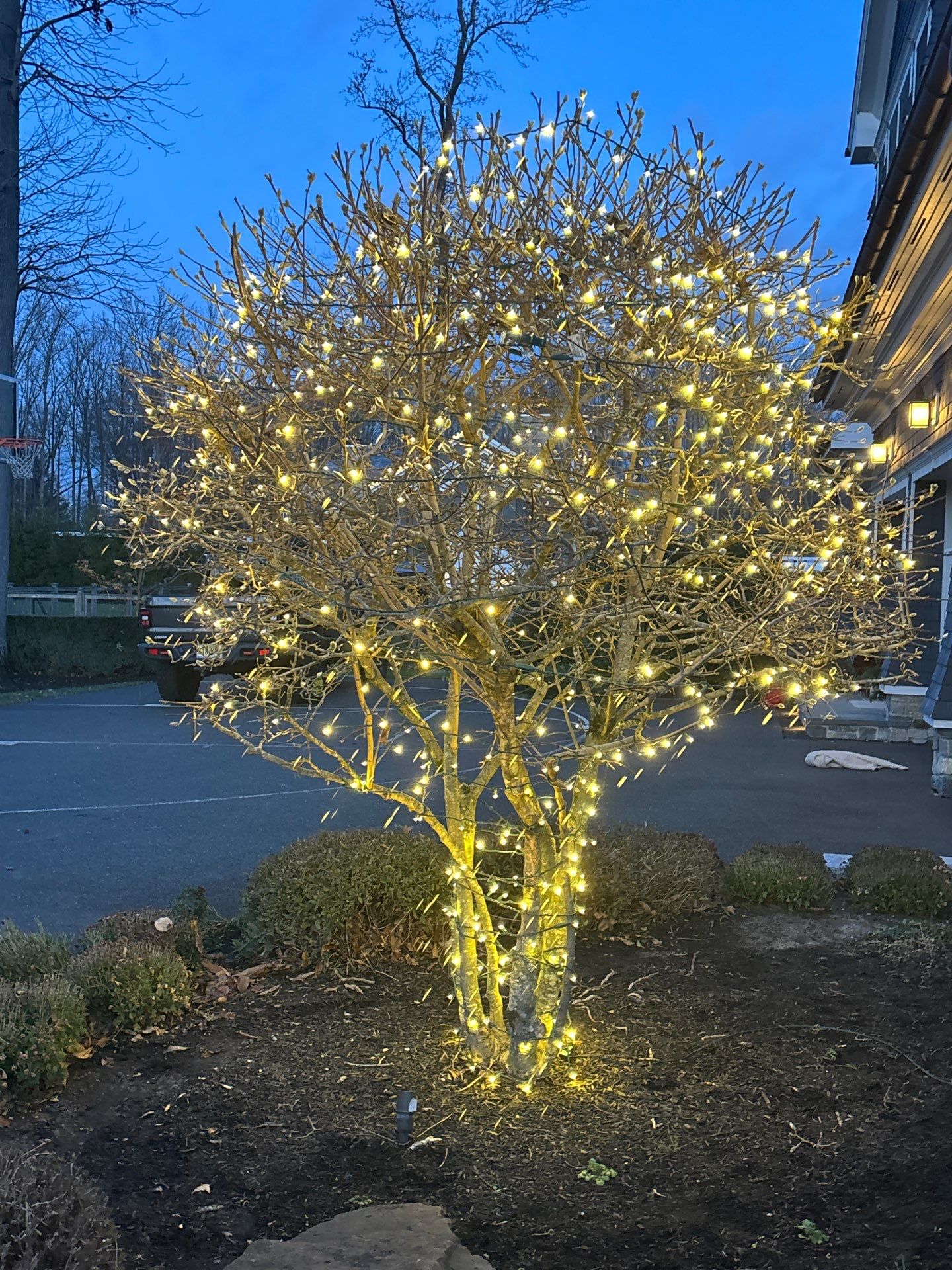 Holiday Lighting Installation in Rumson, NJ by Clearview Washing