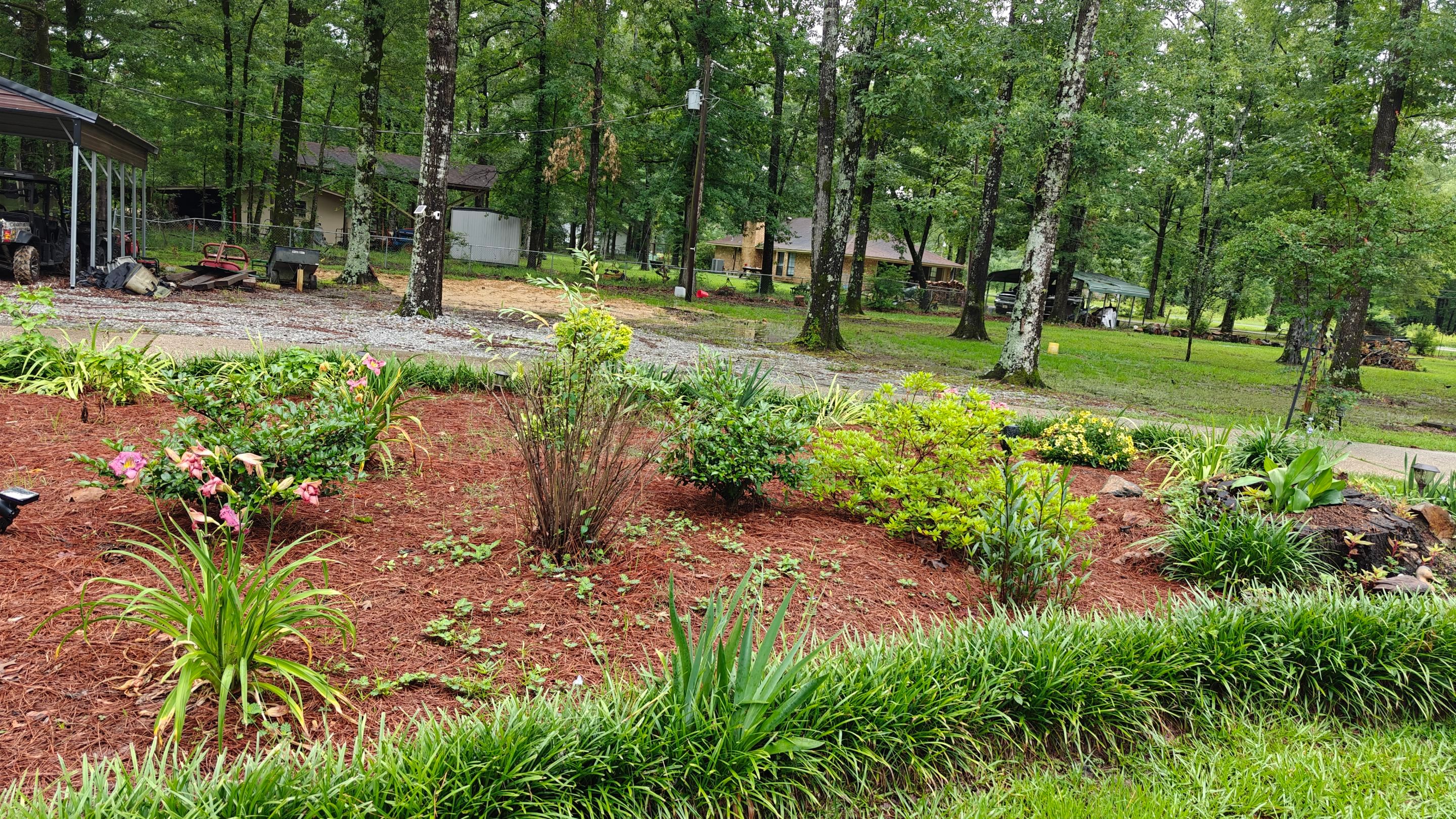Weekly Landscaping  by College Bros Outdoor services