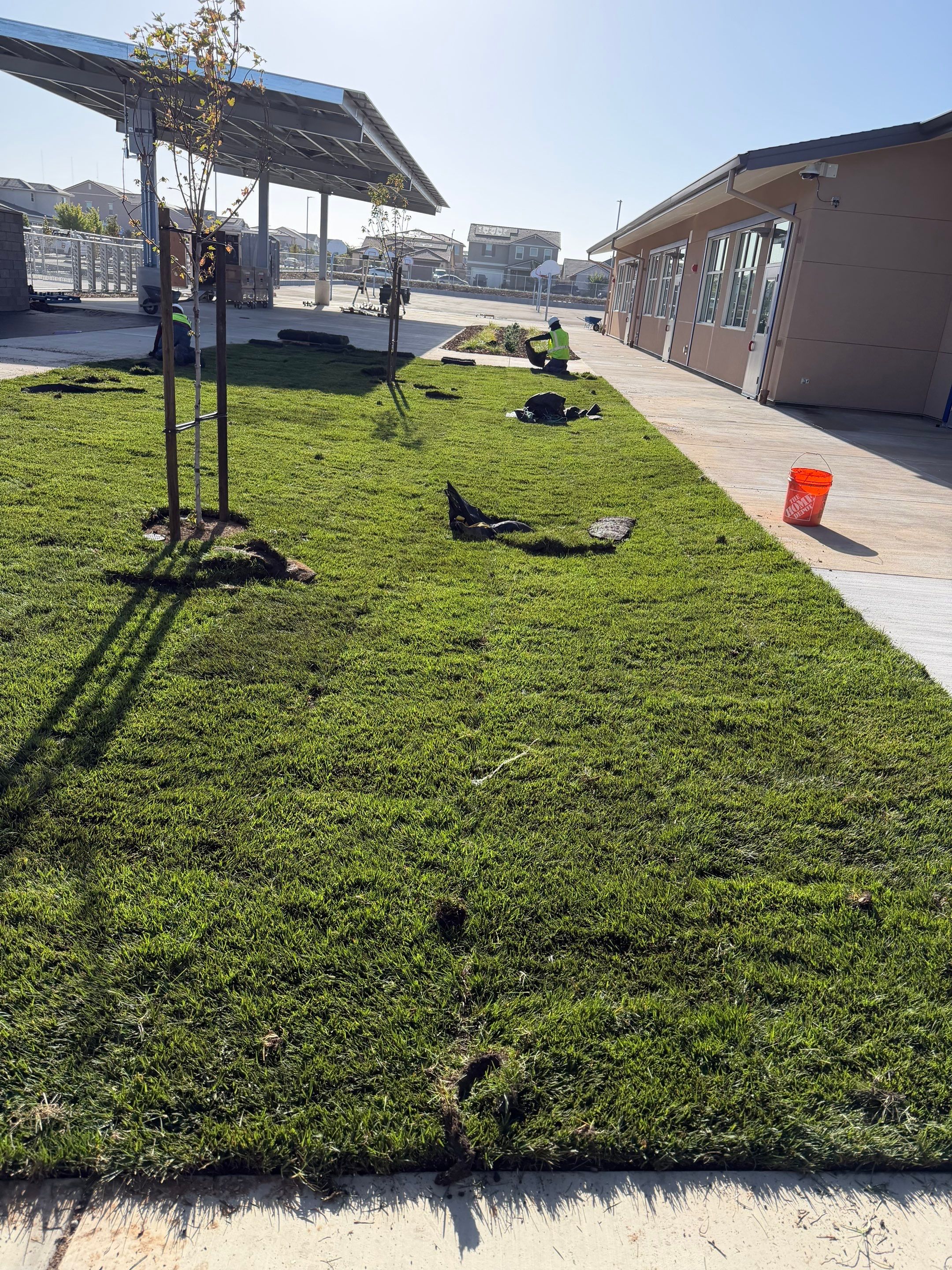 Project in Rancho Cordova by A - G Sod Farms