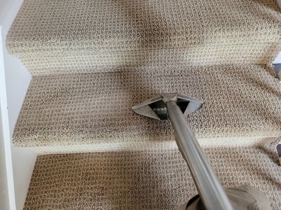 Cleaning a Multi-color, Looped Carpet