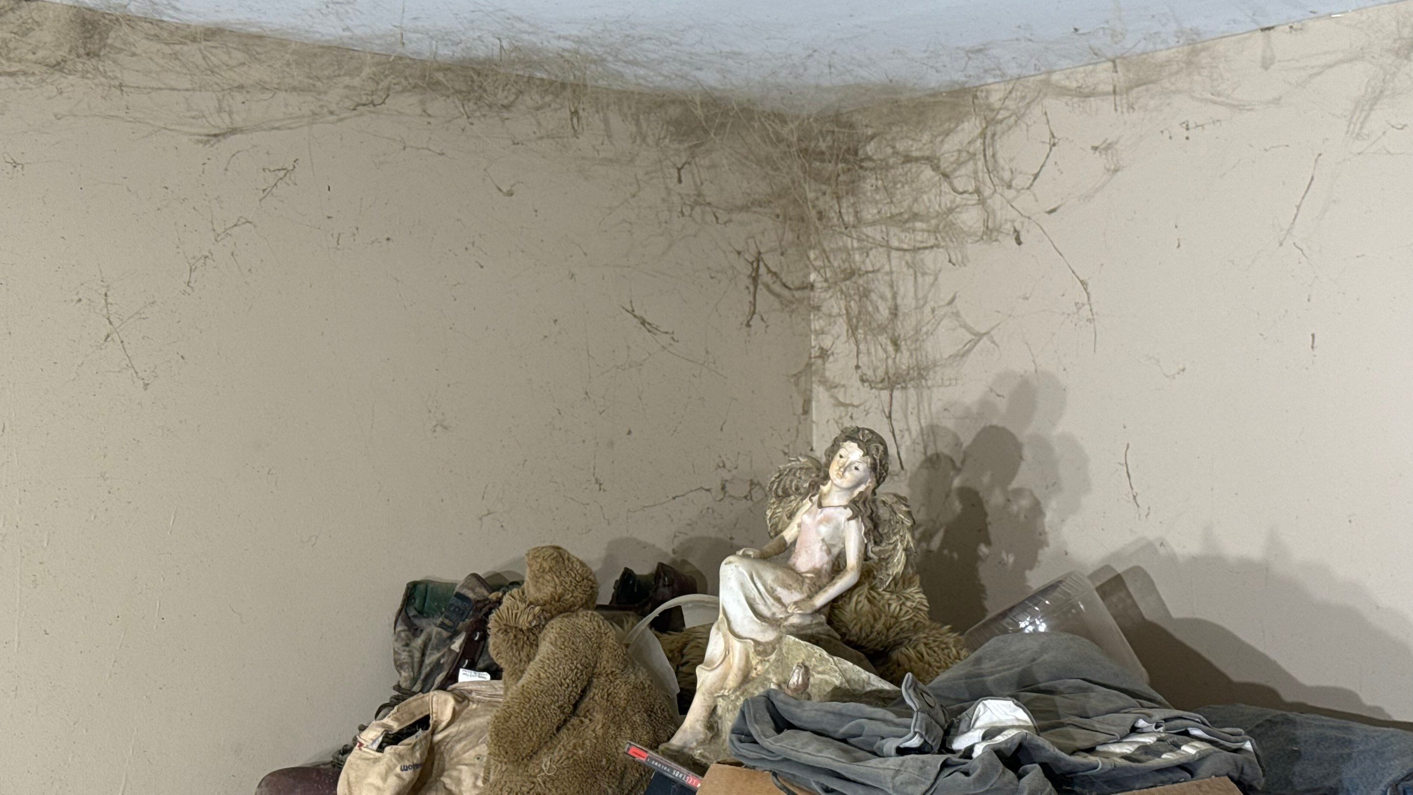 Biohazard Hoarding Cleanup / Animal Feces & Urine Remediation in Preston by Sadie’s Pro Cleaning