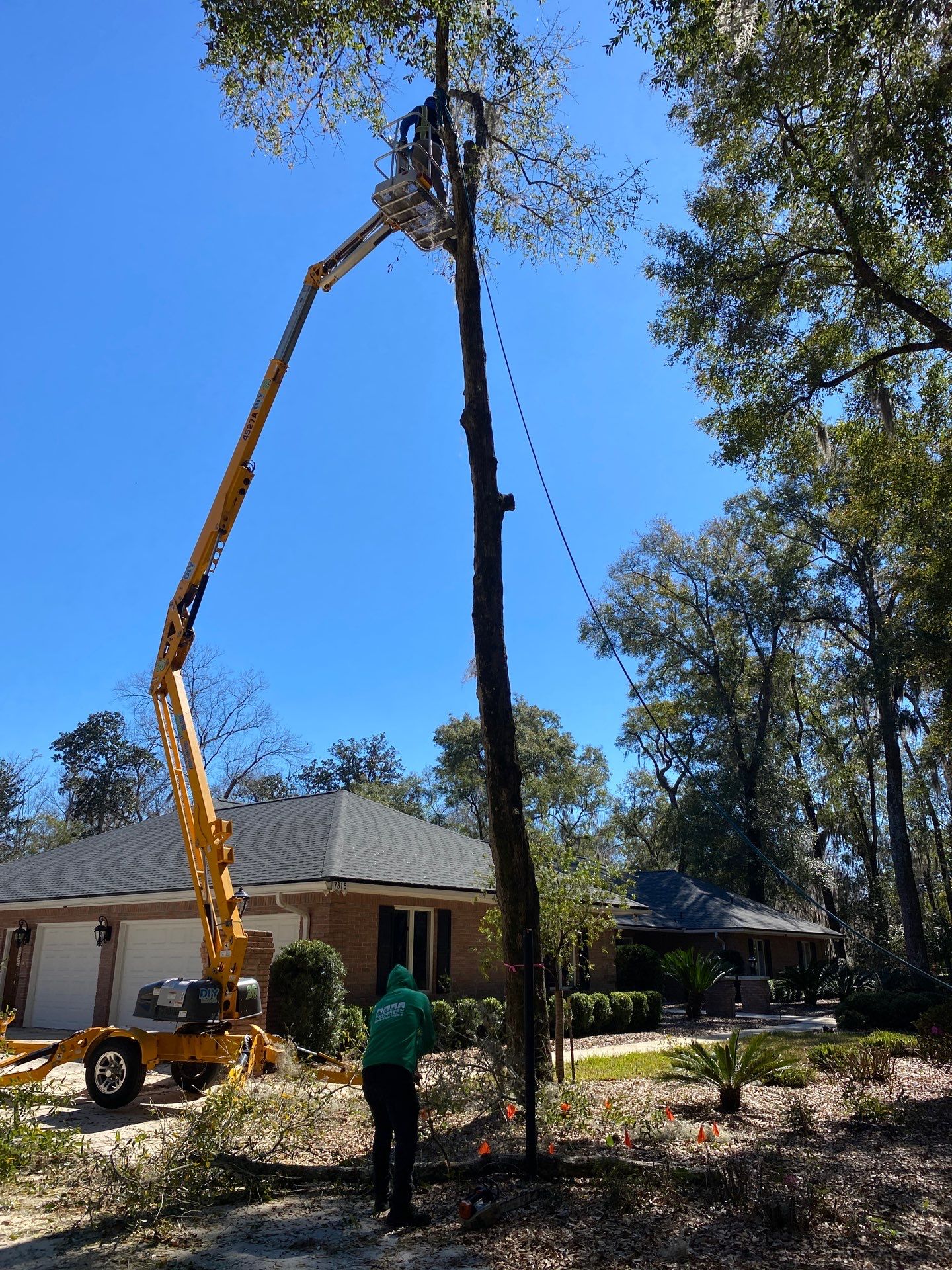 Deerwood Resident | Tree Removal by ProGreen Services