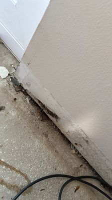 Slab Leak Restoration — Bonita Springs, FL