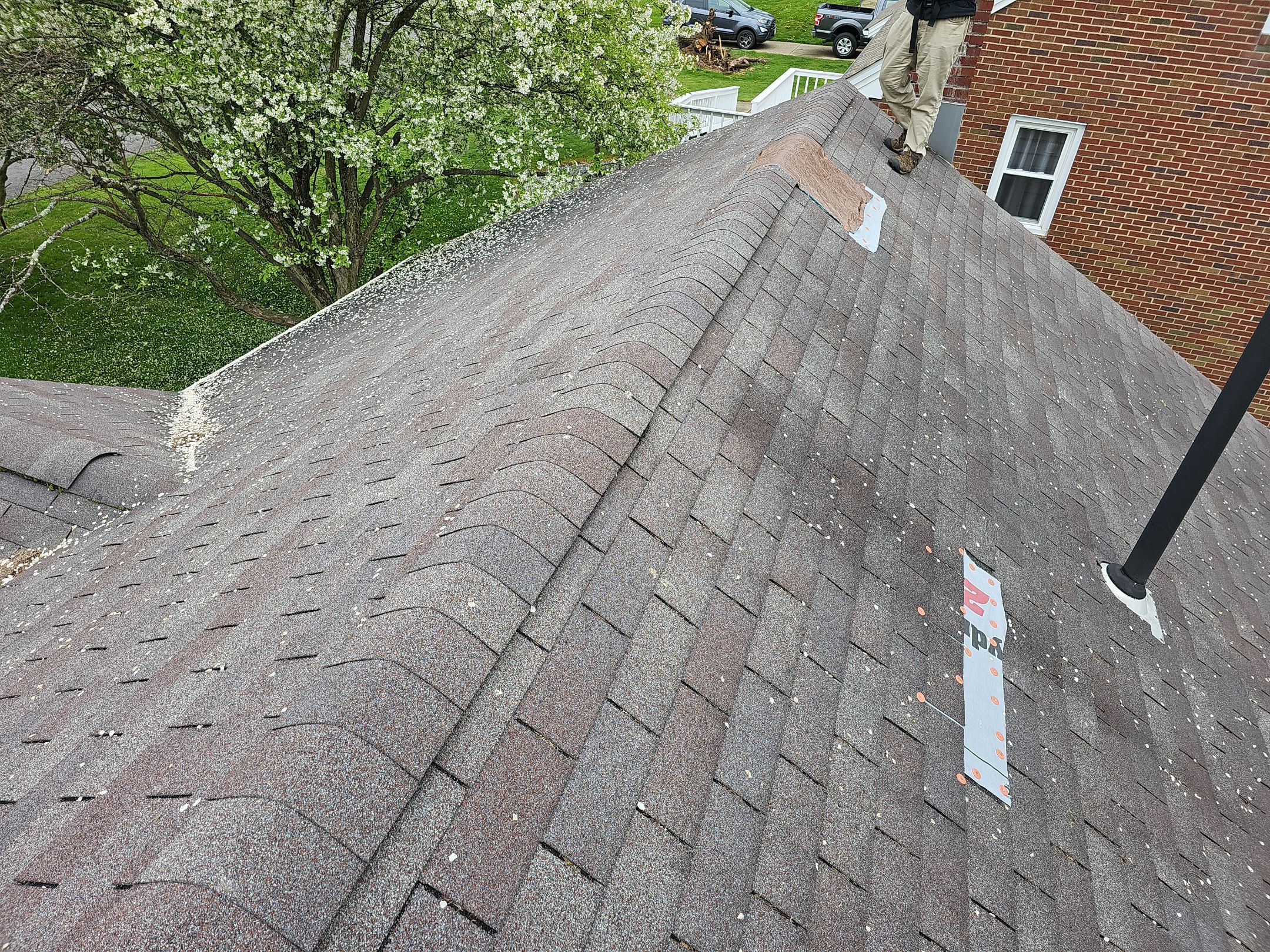 ATLAS PINNACLE COLOR: MORNING HARVEST by Eagle Eye Roofing
