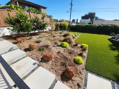Modern Planting Installation and Low-Maintenance Landscaping in San Diego