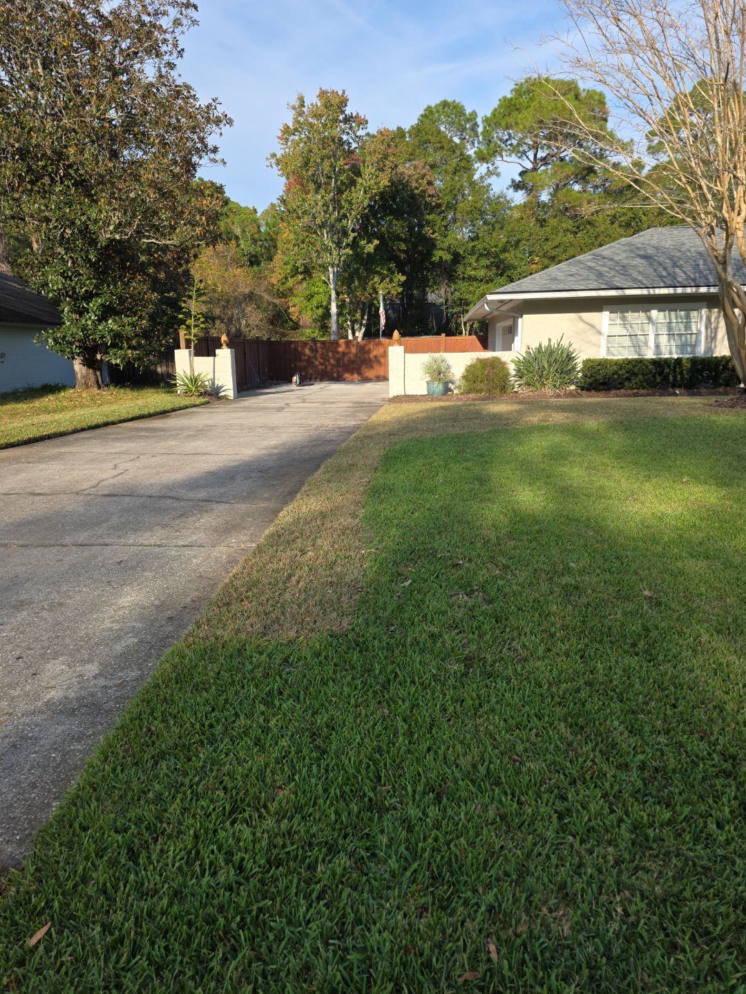 Deerwood Resident | Winter Sod Replacement by ProGreen Services