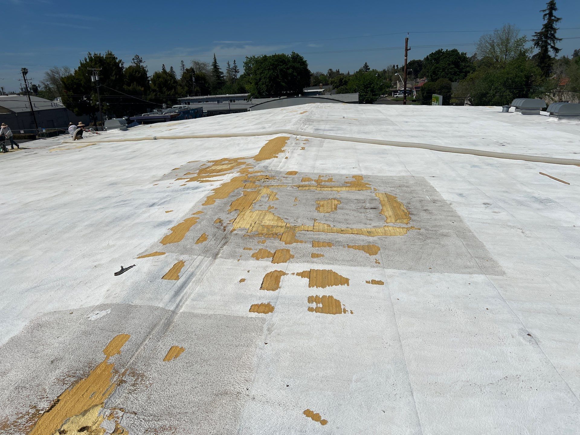 Foam Refurbish using Conklin Benchmark/PUMA XL coatings and spray foam by Straight Edge Roofing Inc
