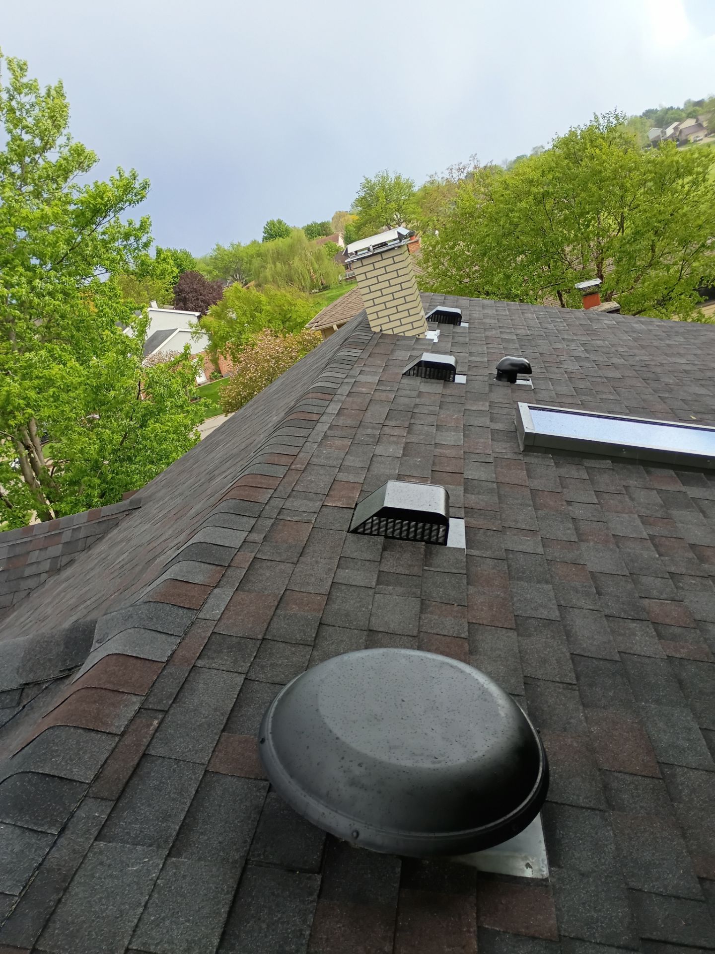 Blakc Oak Vista roof  by Pro Home Services Inc
