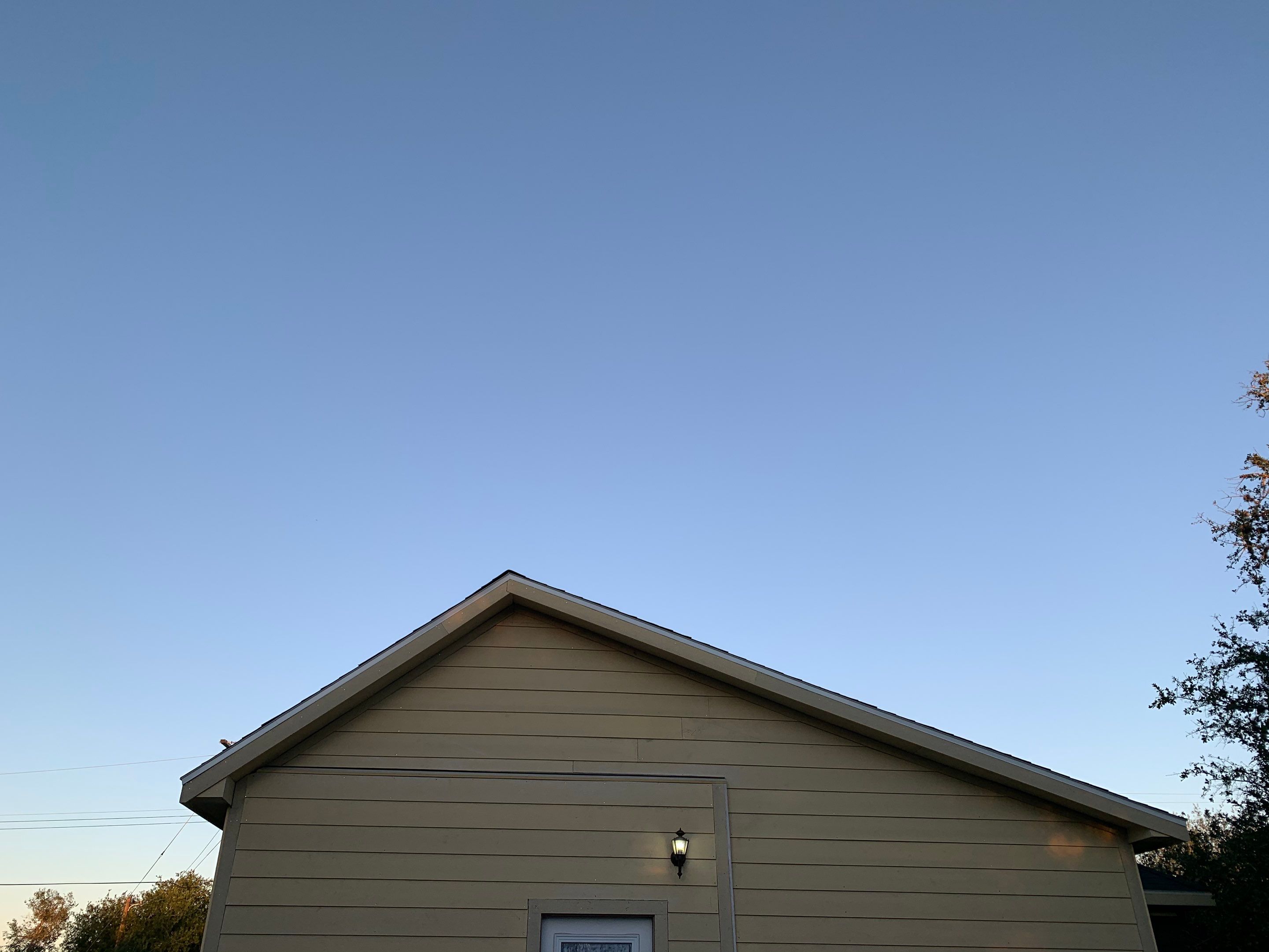 Love Birds Love It by Bayfront Roofing and Construction