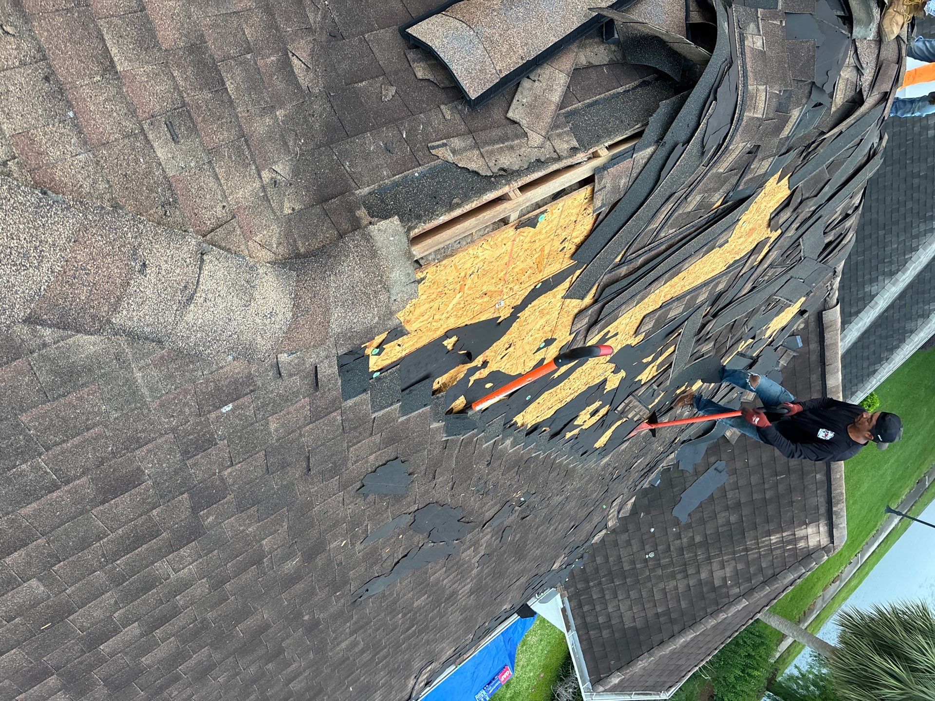 Roof Replacement Spring by Roof Repair Company