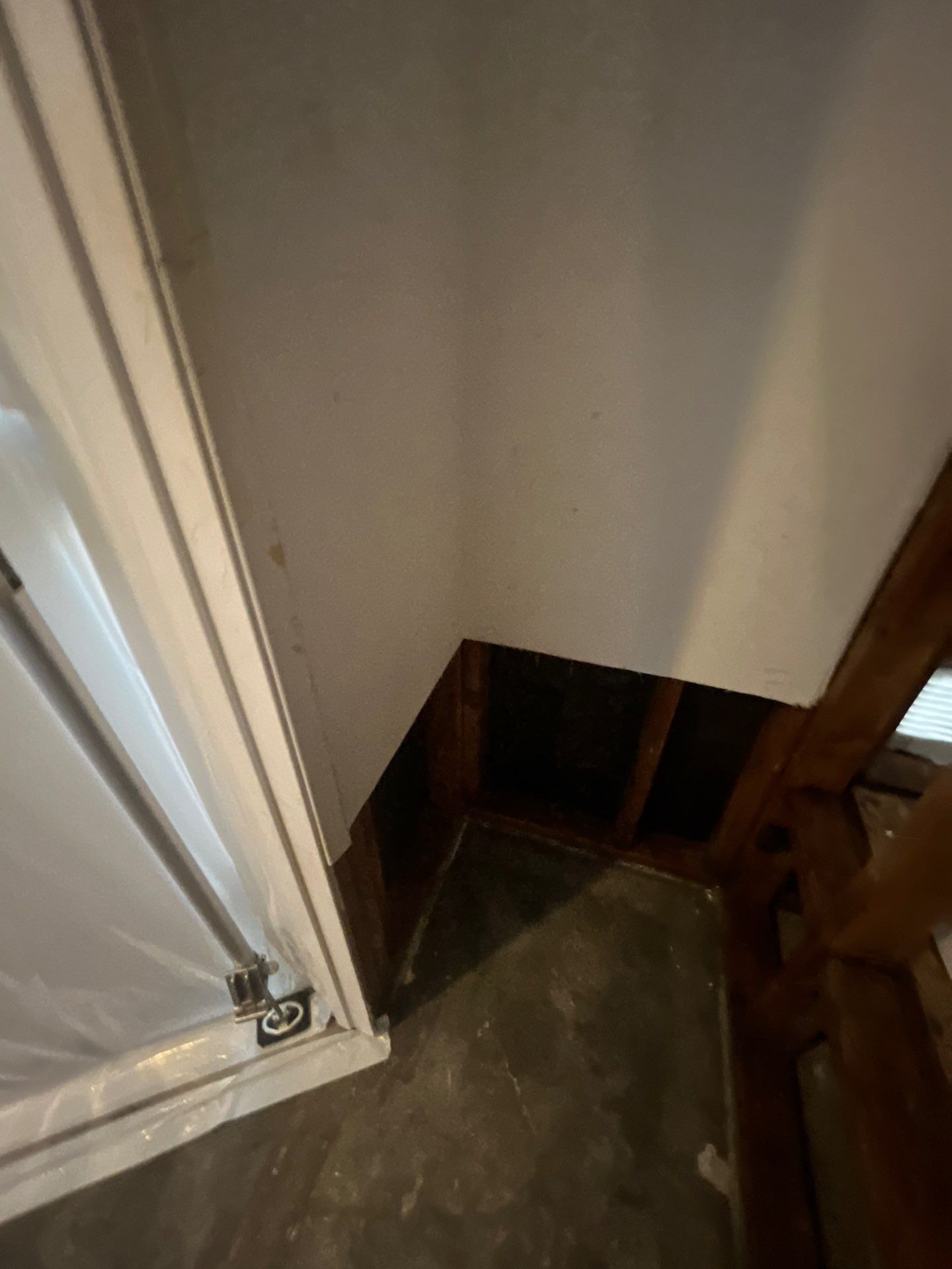 Mold Remediation & Rebuild in Laguna Niguel by One Stop Source