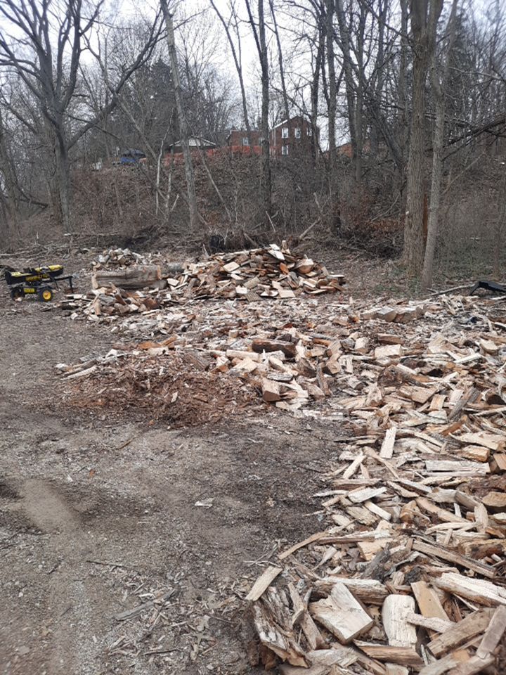 Tree Removal using Tree Removal by Mike Jones & Sons Tree Service LLC 