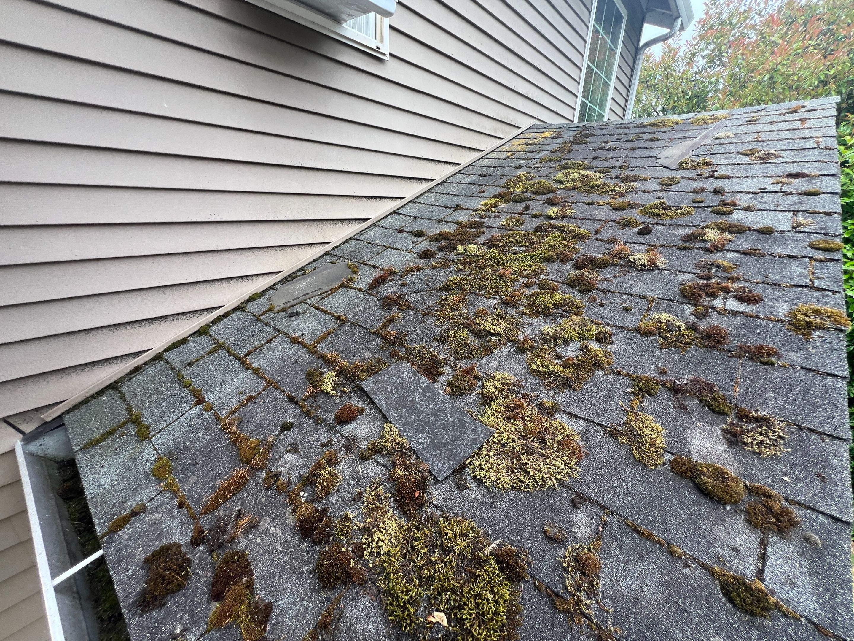 Properties West - 1119 by Advanced Contracting Inc