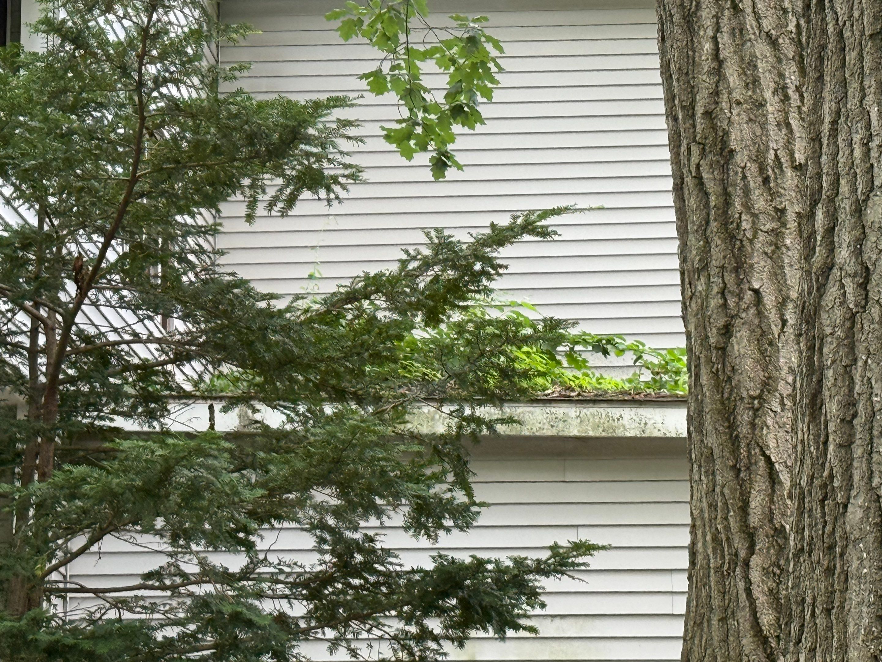 Roof Replacement and Chimney Repair in Fitchburg, MA by Mighty Dog Roofing of Greater Middlesex County