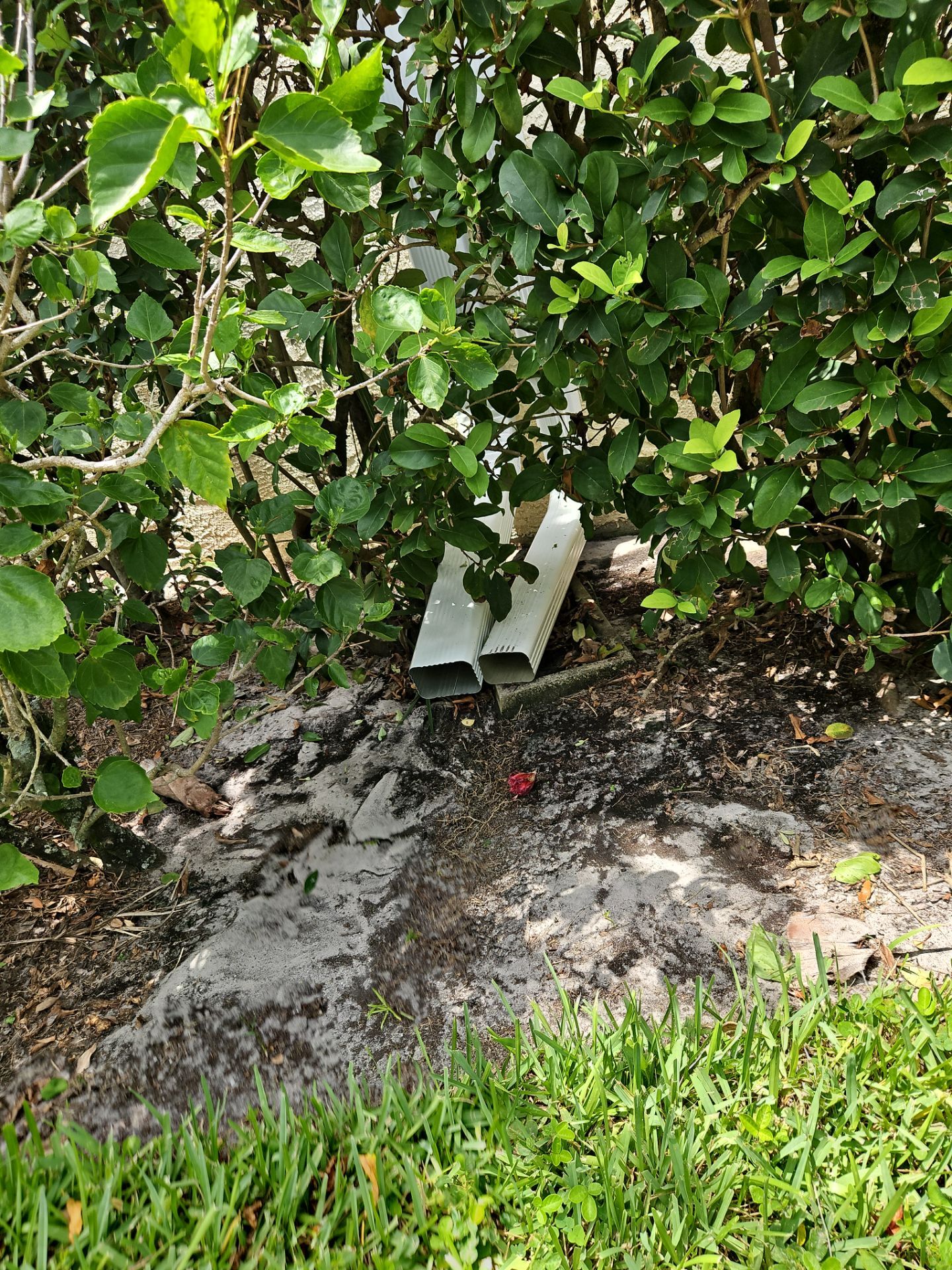 Gutter Cleaning Service and Gutter Guard in Fort Myers FL by Gutter Professors