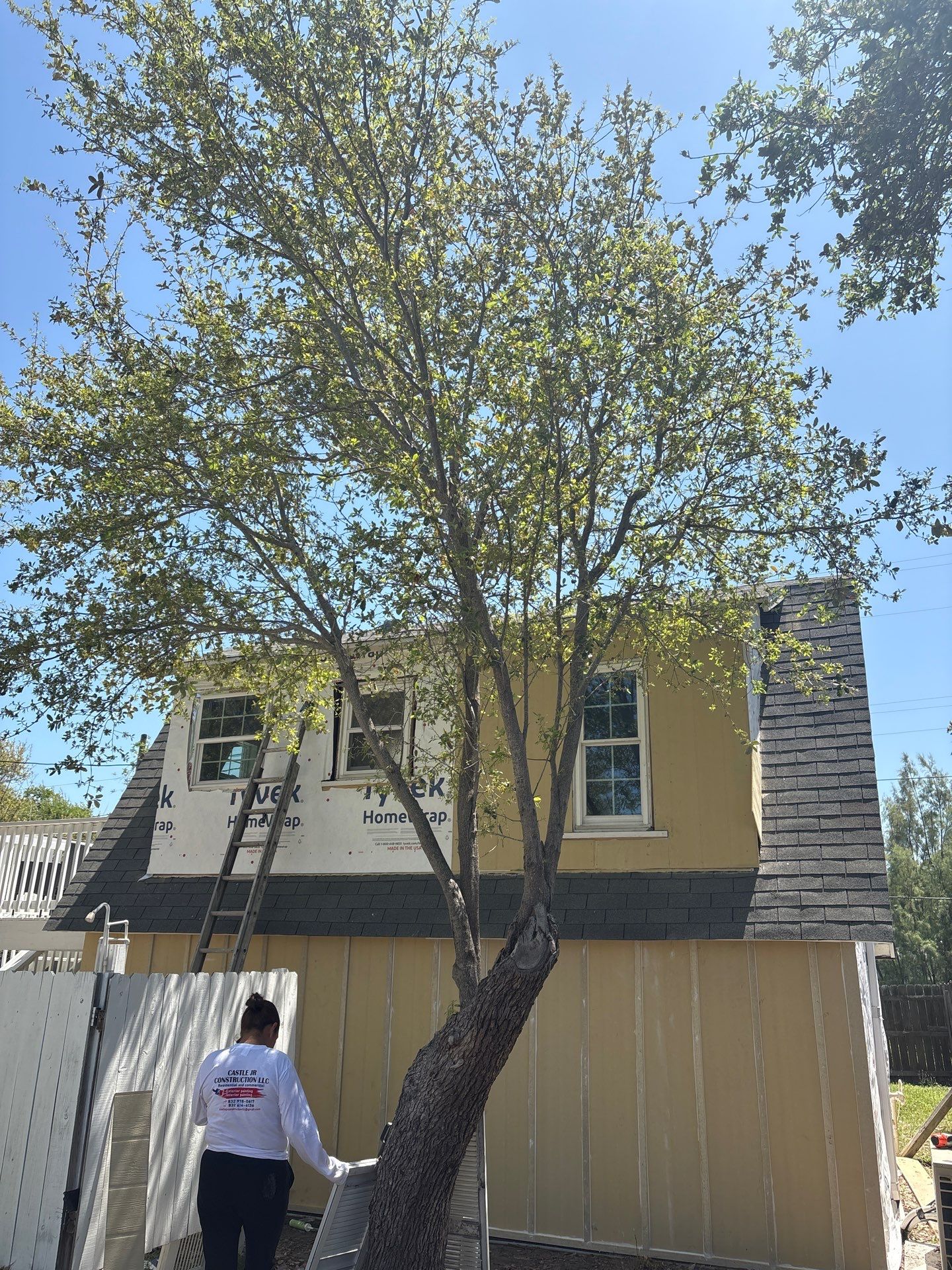 Olive you a Lot! by Bayfront Roofing and Construction