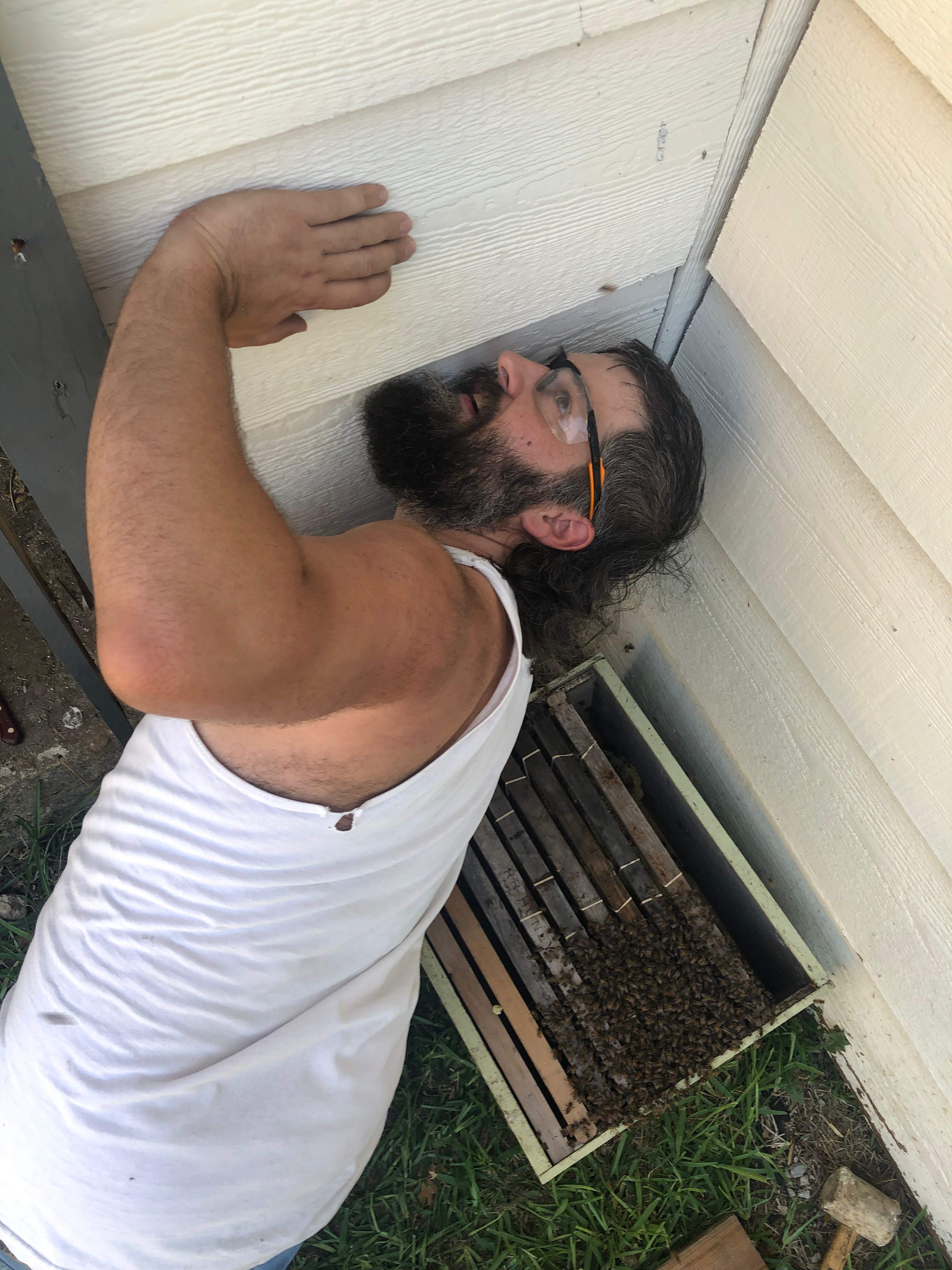 Bees Handled by Rockwall Honey Bee Company