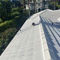 Boral Saxony 900 Ultra White by Total Roofing System The Metal Roof Experts