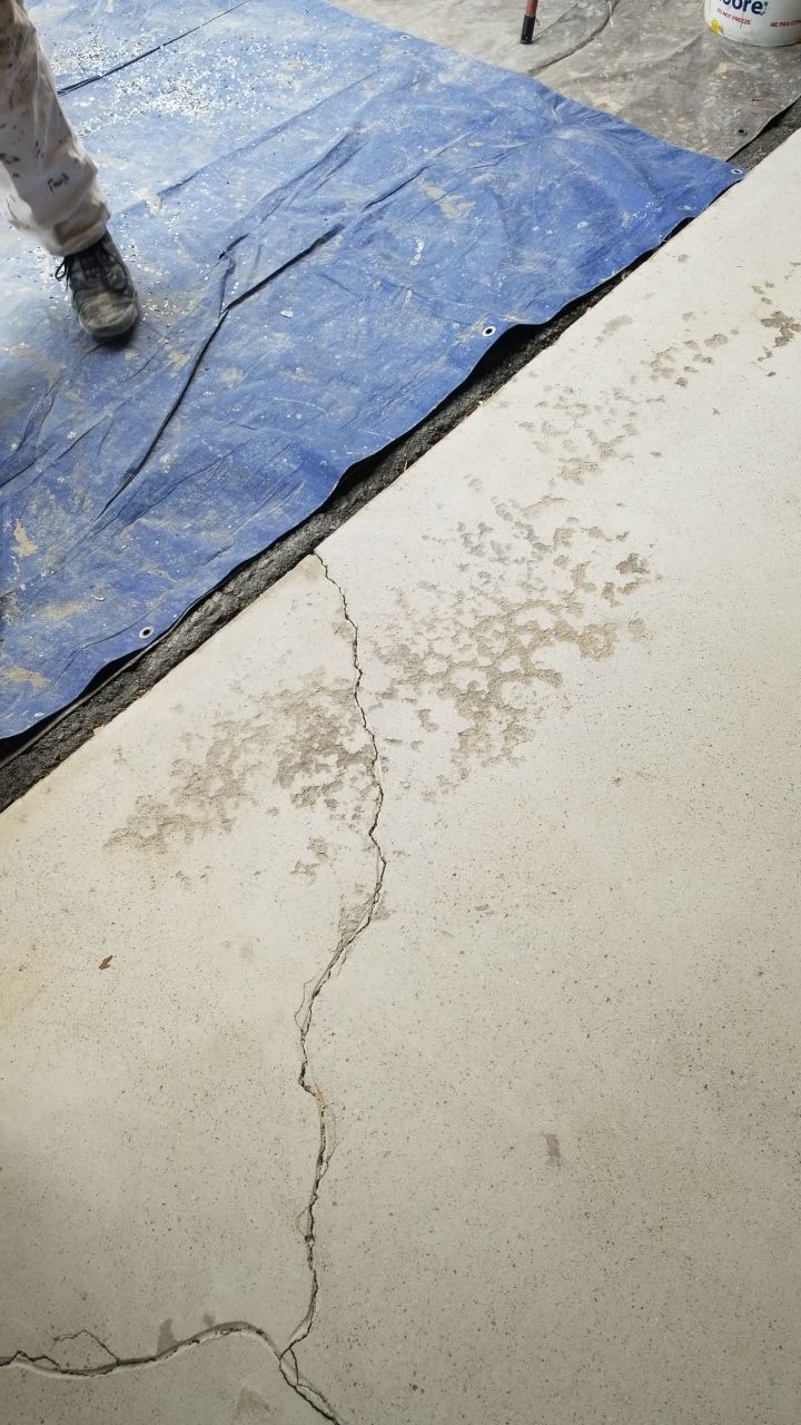 Garage Floor in Domino by Spectrum Painting, LLC