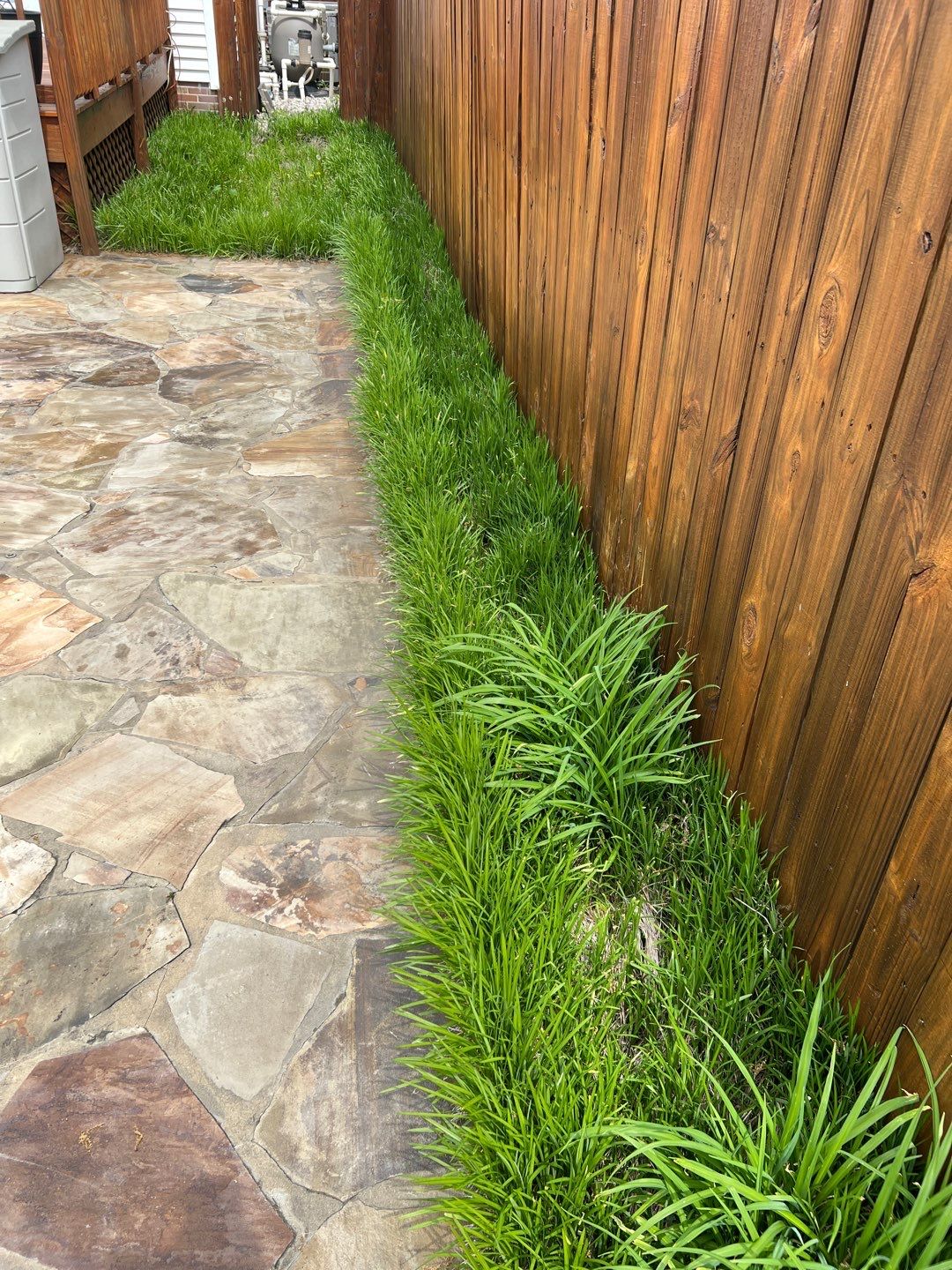 Liriope grasses, mulch and stone pavers by GrassBusters, Inc.