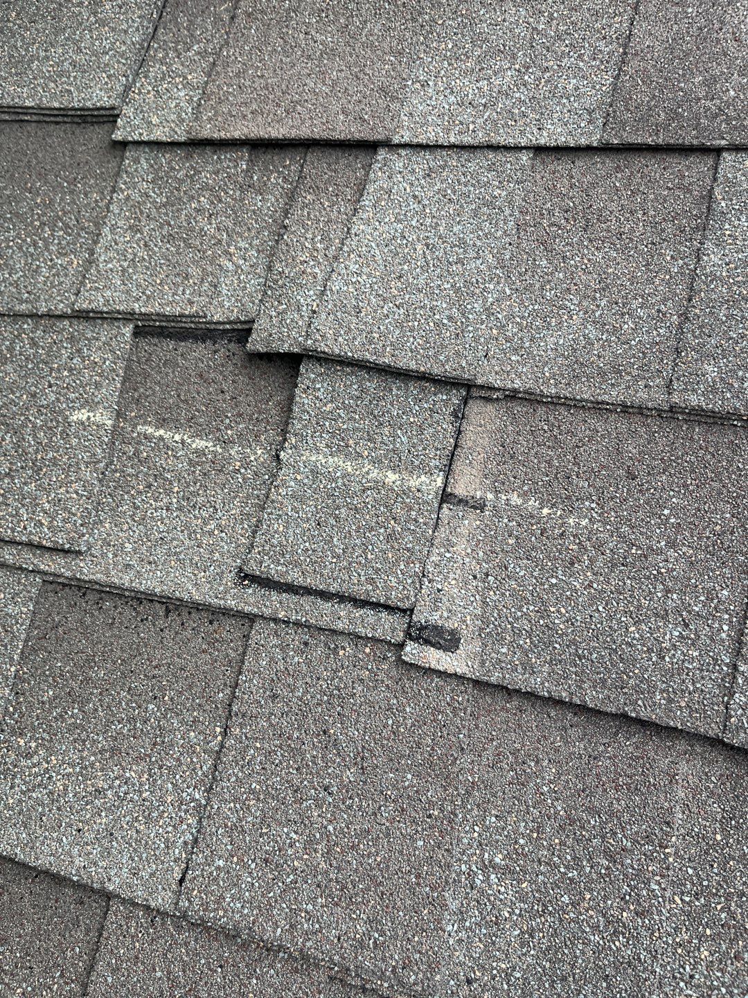 PAM M by Boss Hogg Roofing