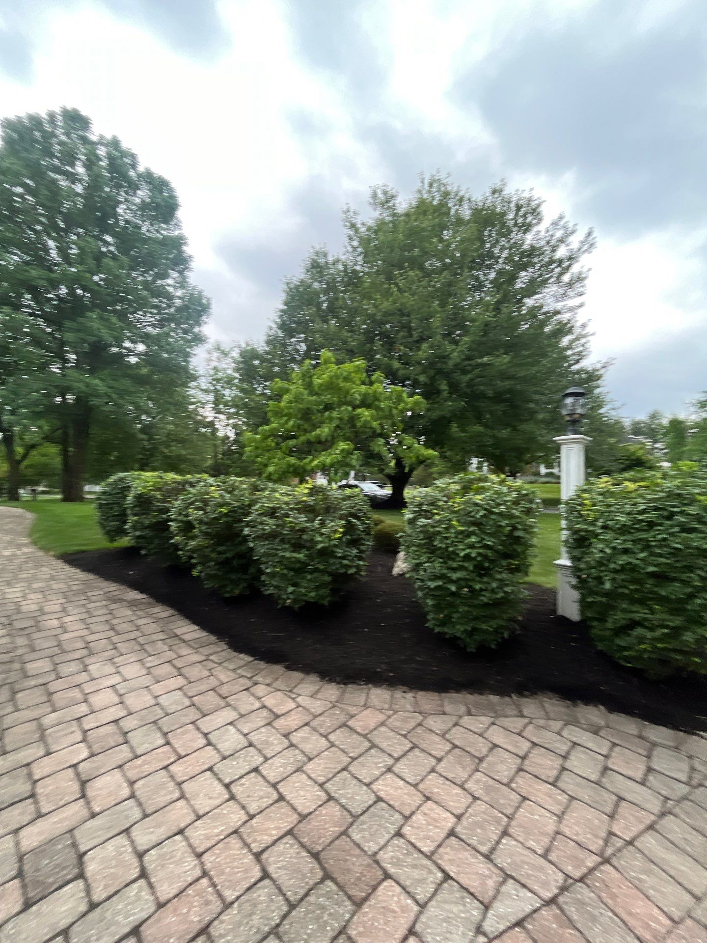 Comprehensive Shrub and Ornamental Bed Maintenance in Basking Ridge by Ants Plants