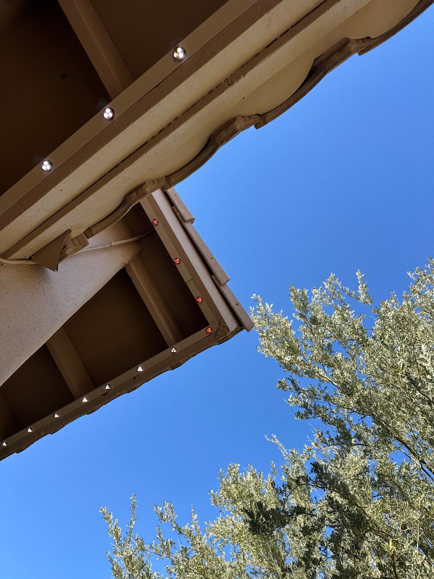 Project in Scottsdale by Big Pig Smart Lighting