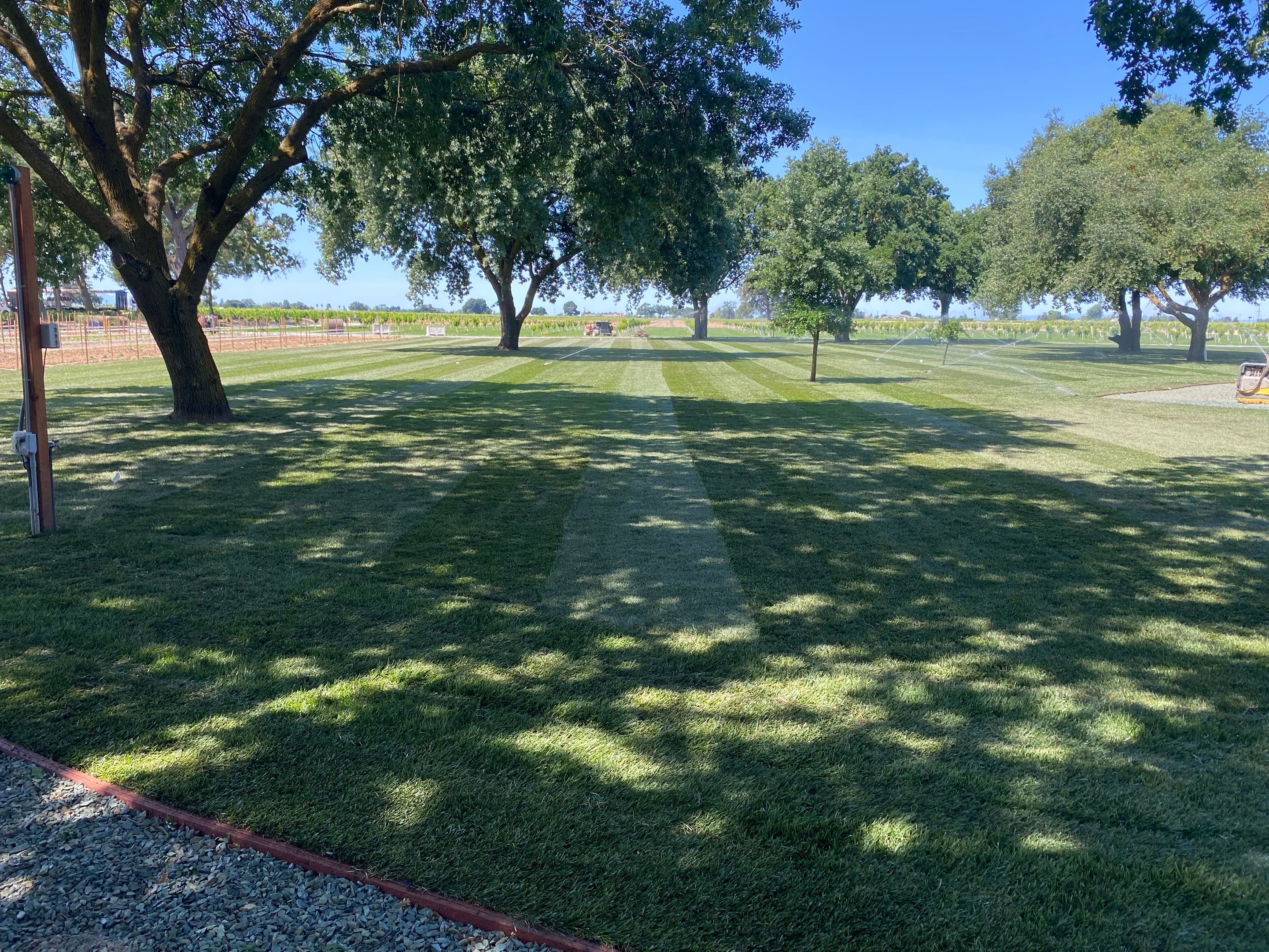Project in Lodi by A - G Sod Farms
