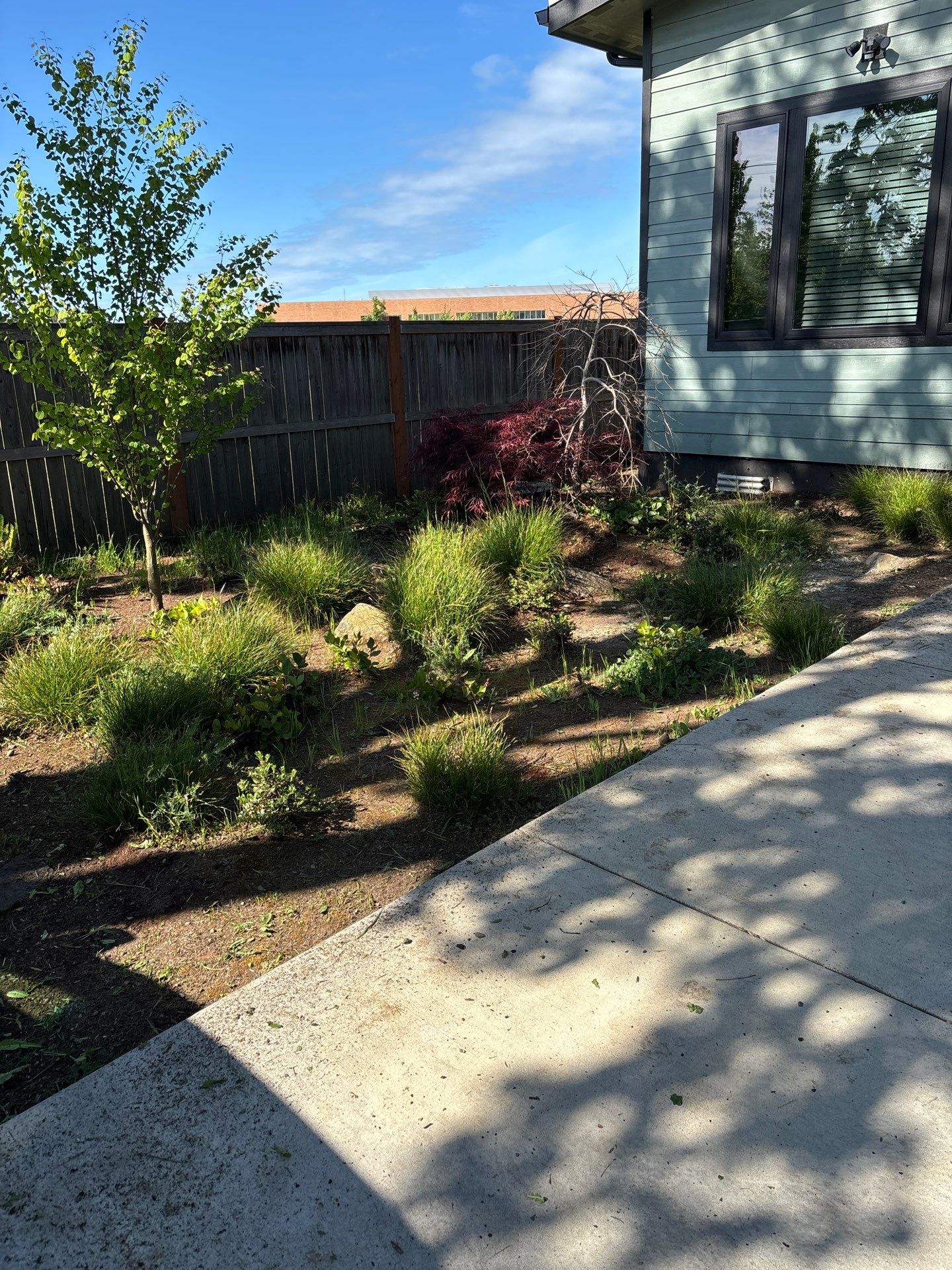 89365 - Deck Addition & Yard Clean up by MV General Construction, LLC