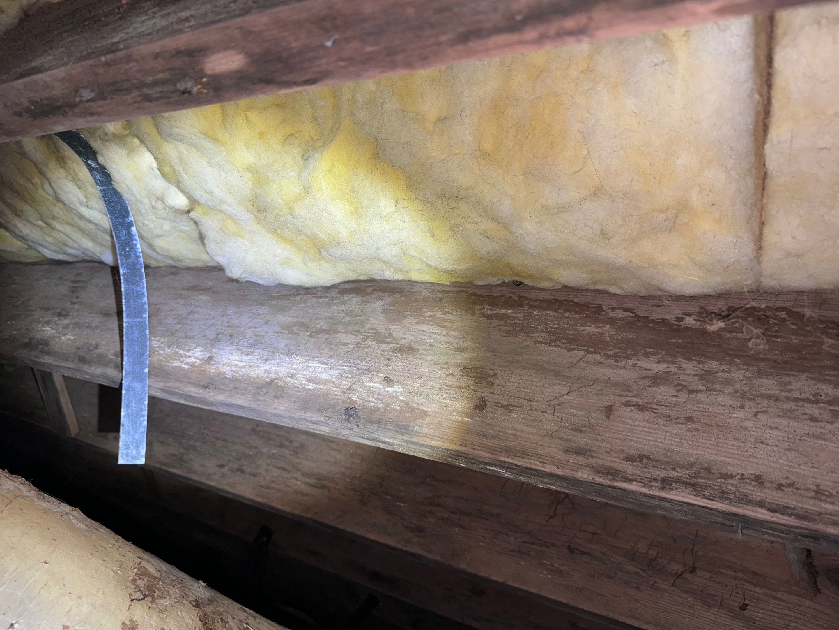 Impact Choice Encapsulation with 20Mil and Tri-Plex insulation. by Impact Crawlspace