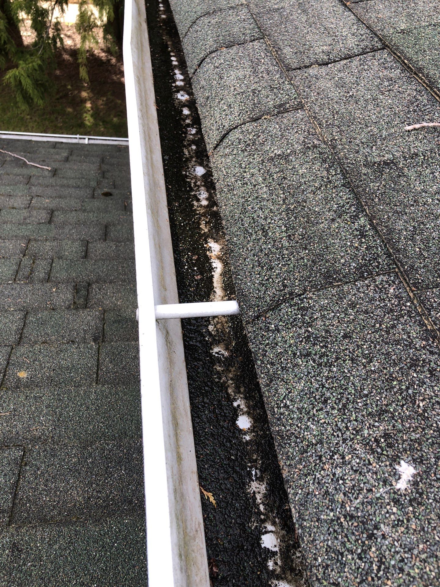 Project in Lynden by Connolly Construction Company