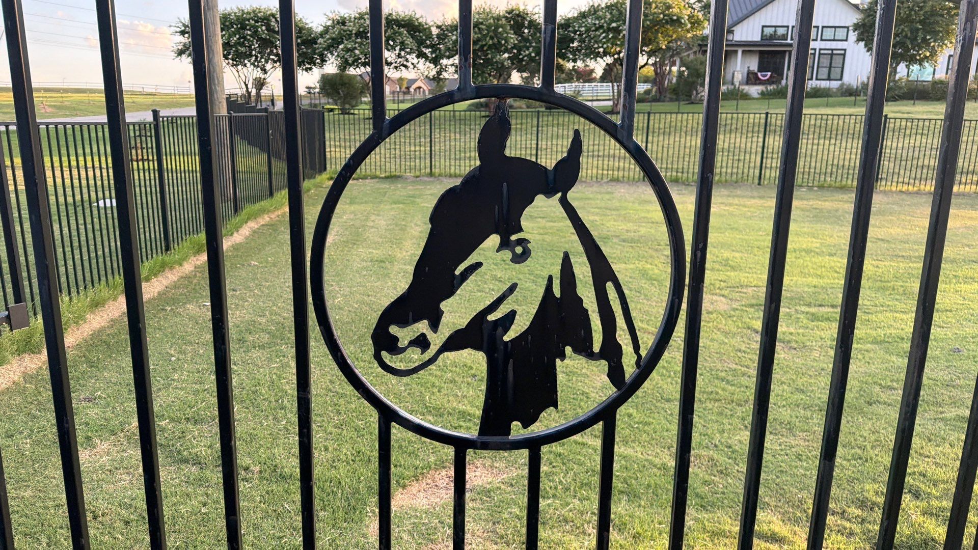 Porter & Pony Apiary by Rockwall Honey Bee Company