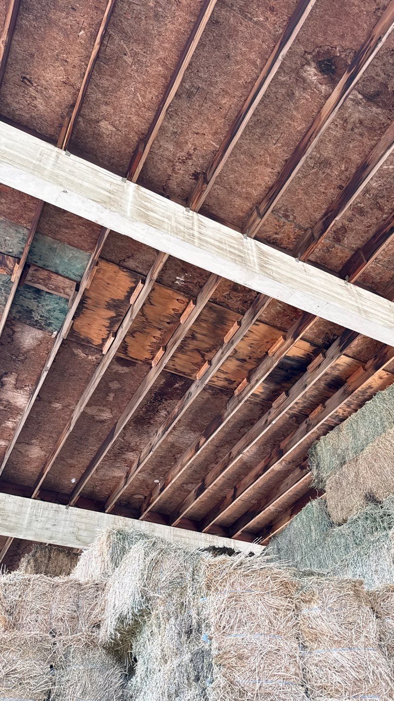 Metal Roof Silicone Coating and Structural Repair in San Ysabel by Reliable Roofing San Diego Inc.
