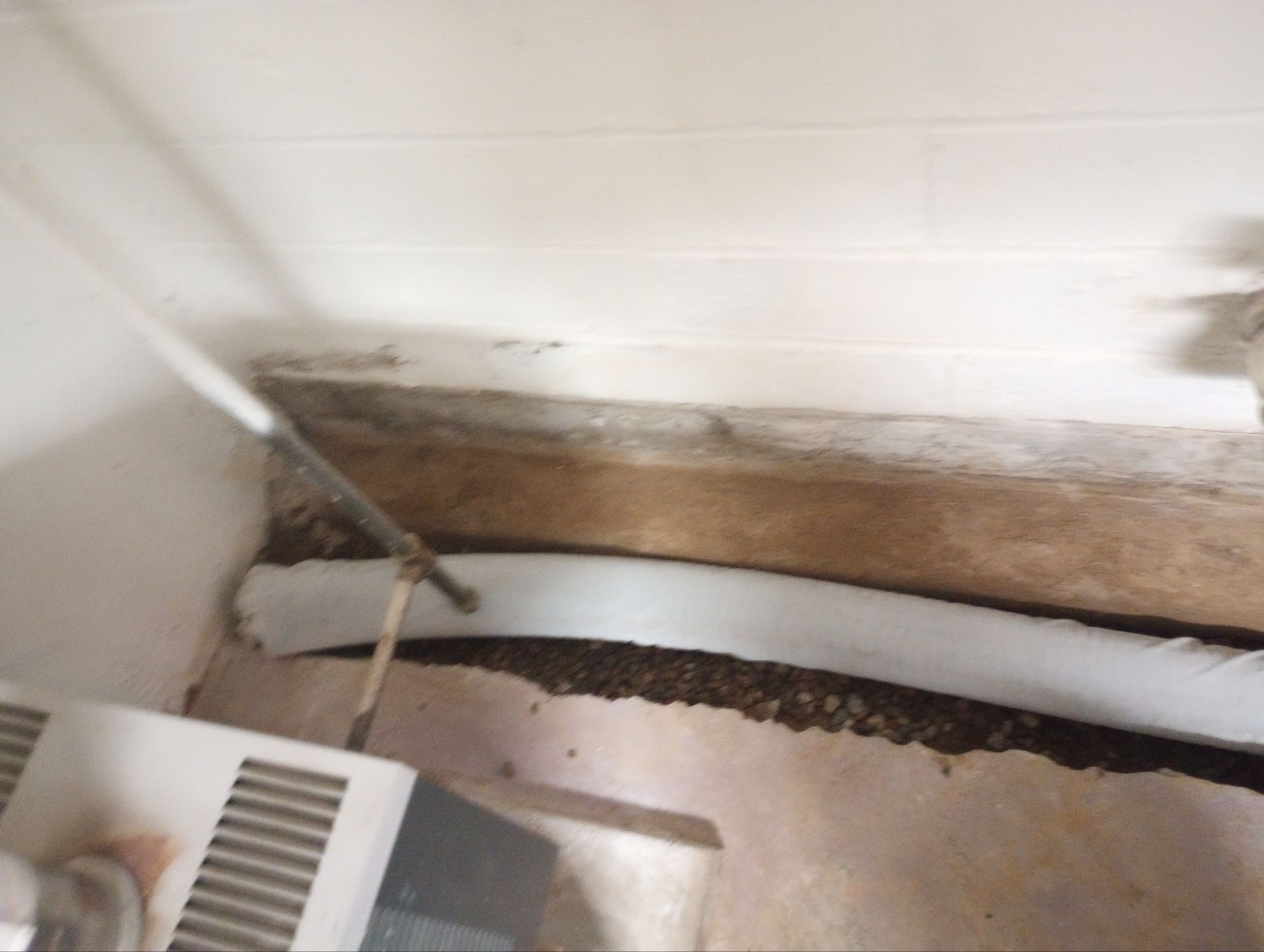 Last-Minute Waterproofing Saves Allison’s Closing by Waterproofing Northeast