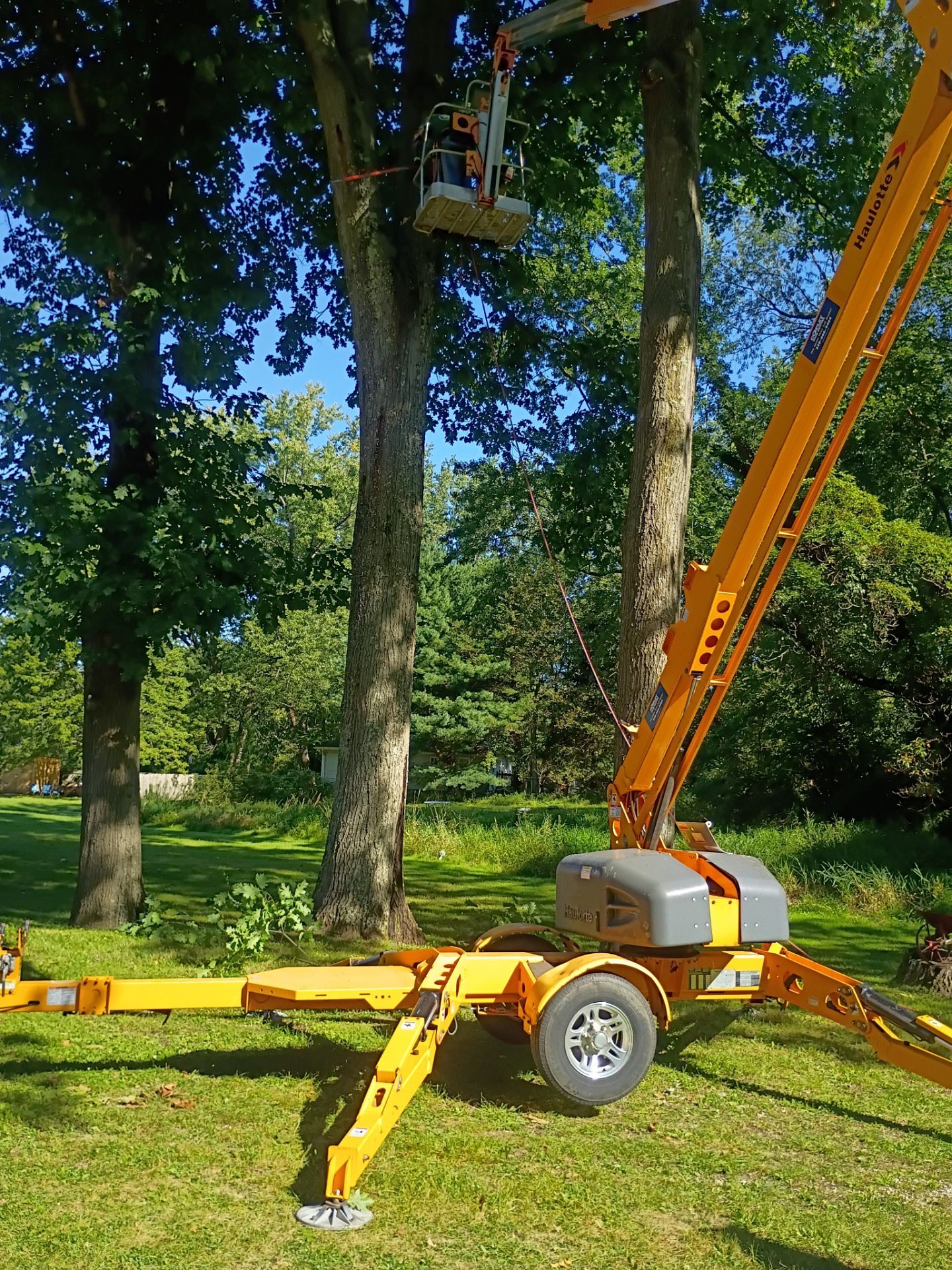 Tree Trimming & Tree Removal in Akron Ohio by Mike Jones & Sons Tree Service LLC 
