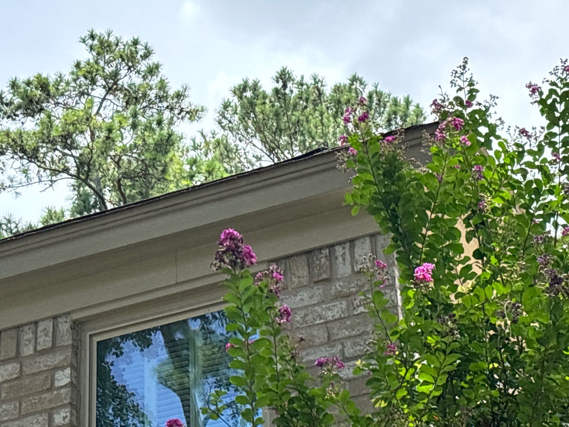 Hail Damage using Owen's Corning Duration (Lifetime) Shingles by Roof Repair Company