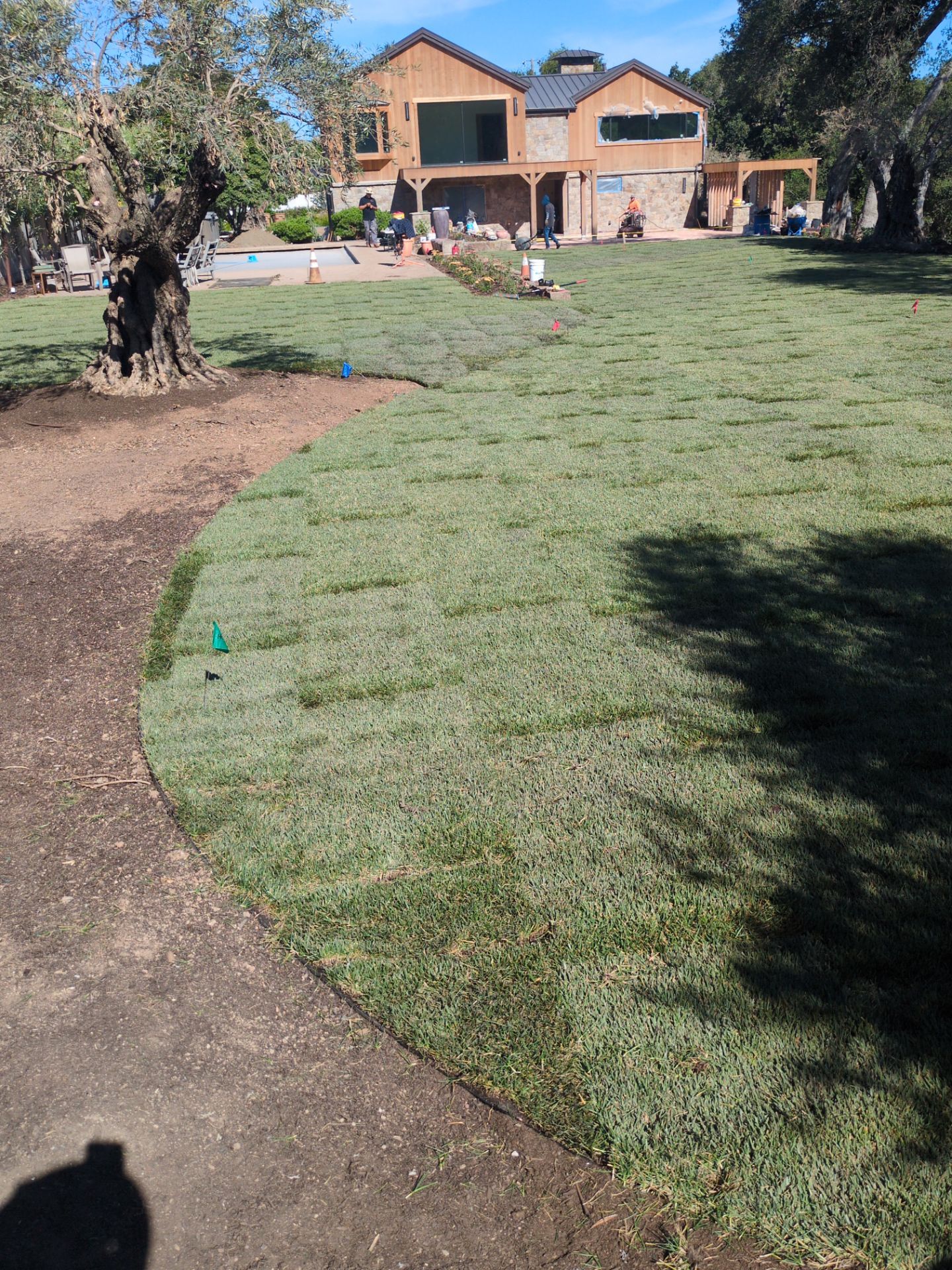 Project in Napa by A - G Sod Farms