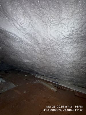Attic Insulation using open cell spray foam and closed cell rim joist