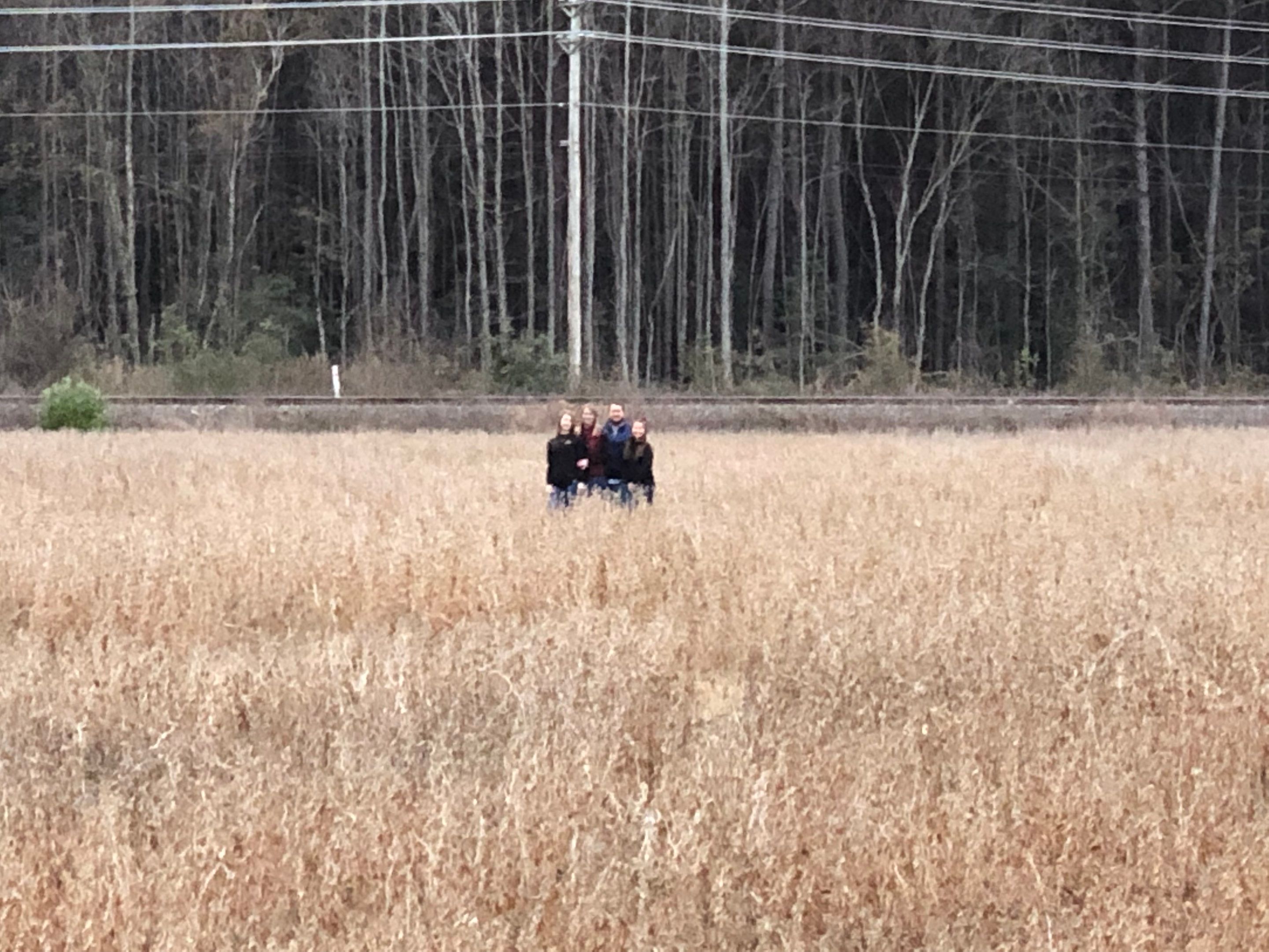 Custom New Construction Residential by S.W. Contracting & Consulting