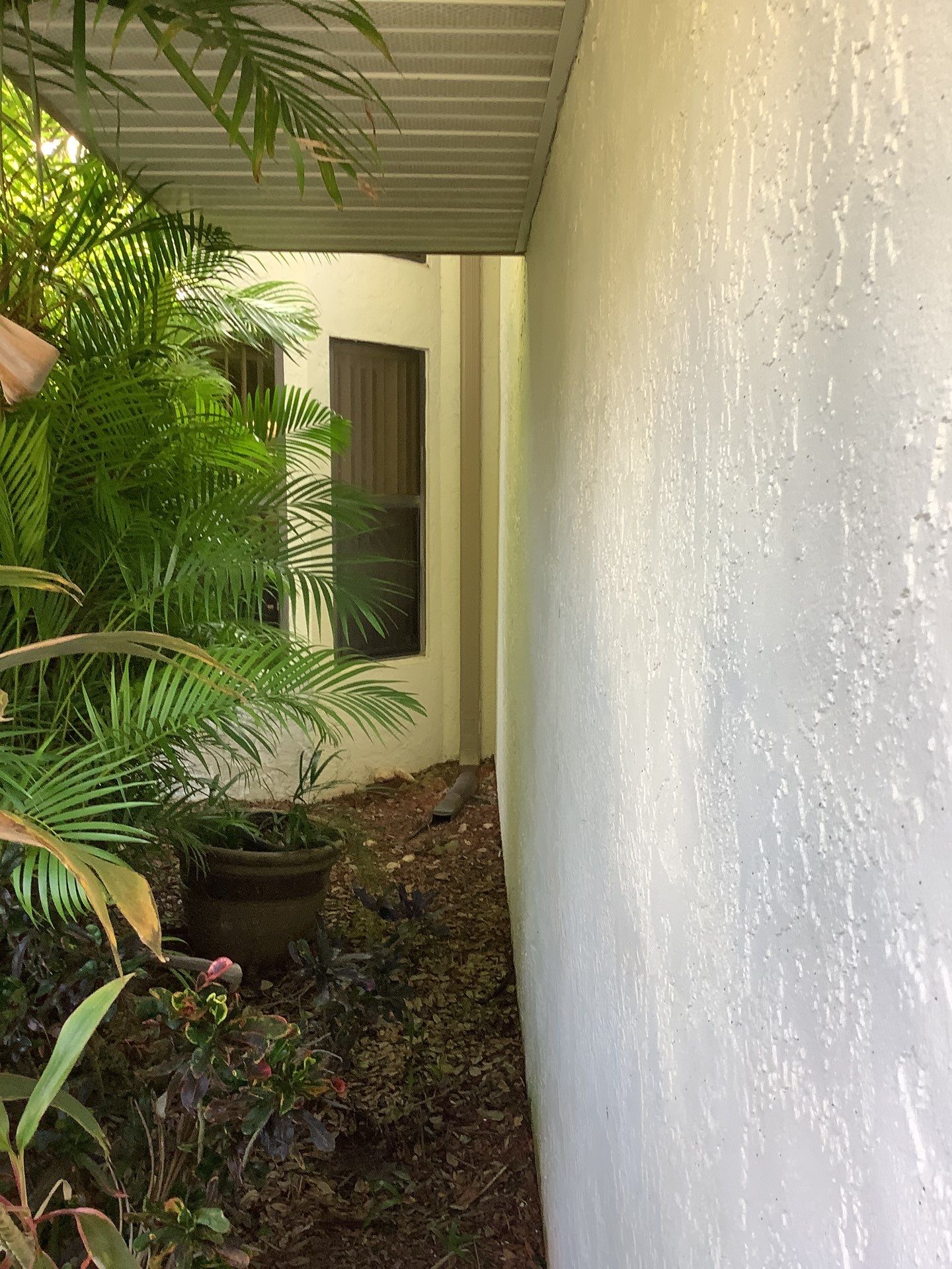 Seamless Gutter Cleaning Before the Rainy Season in Lehigh Acres, FL by Gutter Professors