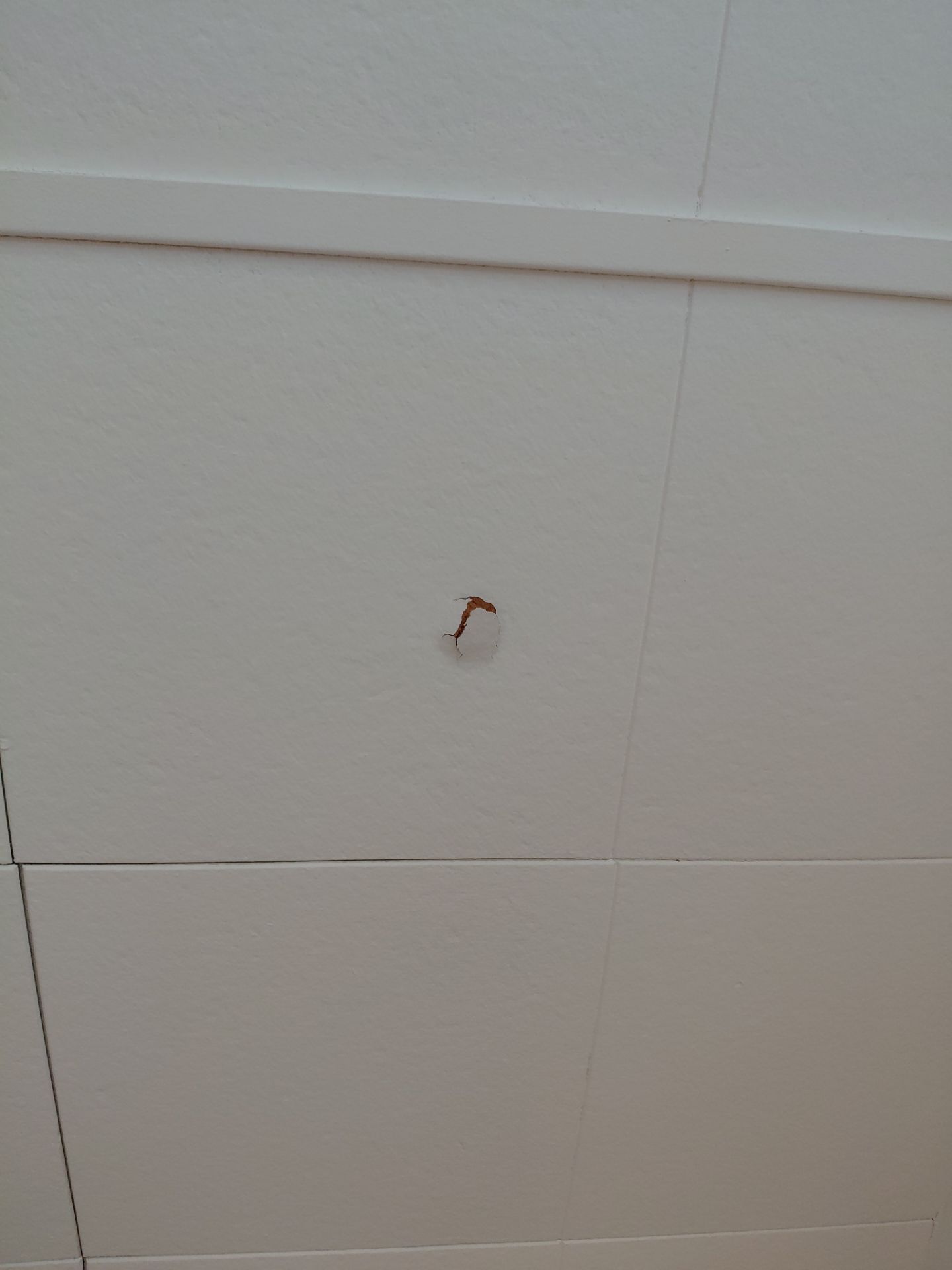 Arlington: Residential Roof Replacement with CertainTeed Landmark PRO in Max Def Colonial Slate by RM Banning, Inc.