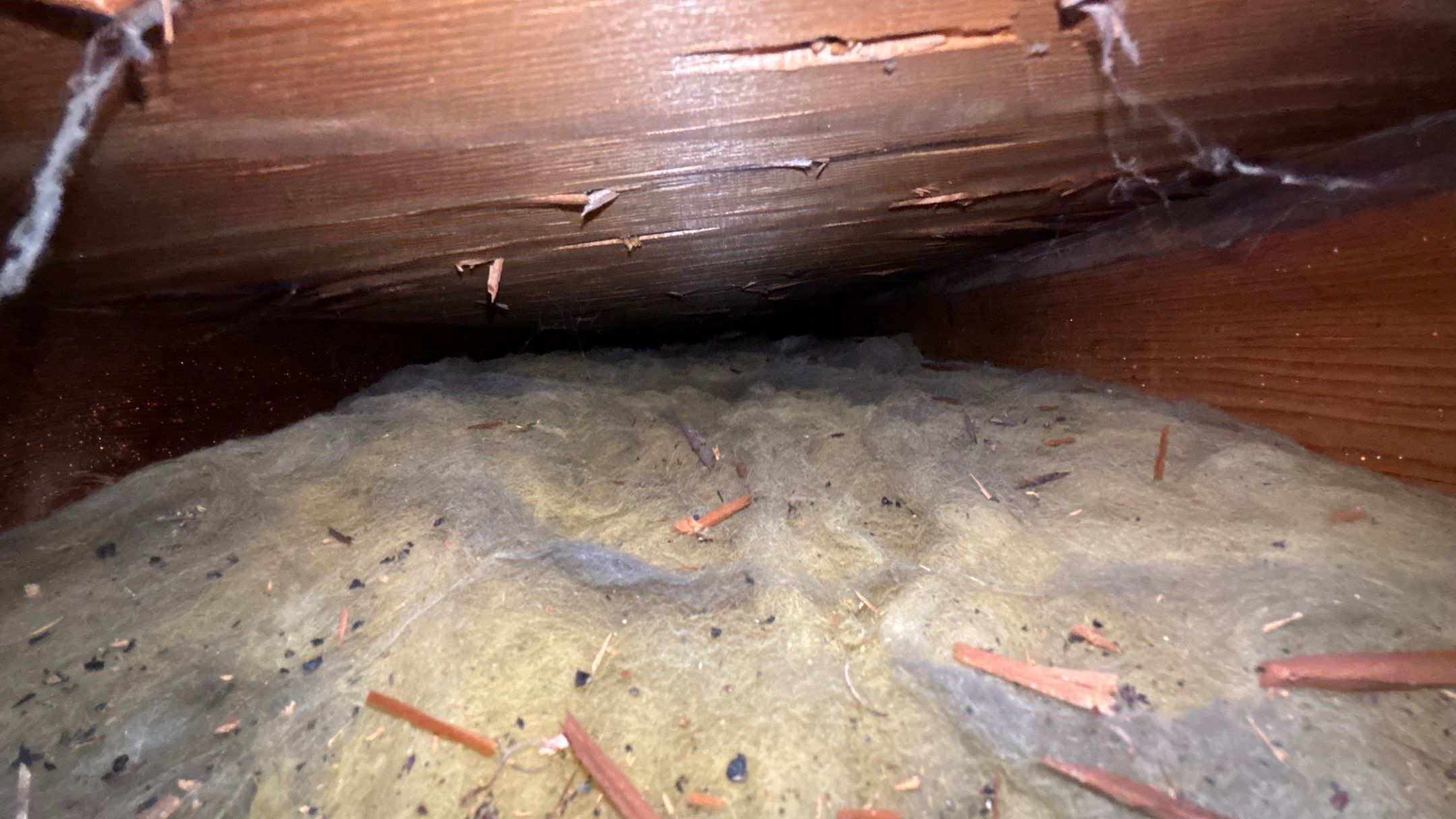 Roof Replacement using Owens Corning Driftwood by 180 Contractors