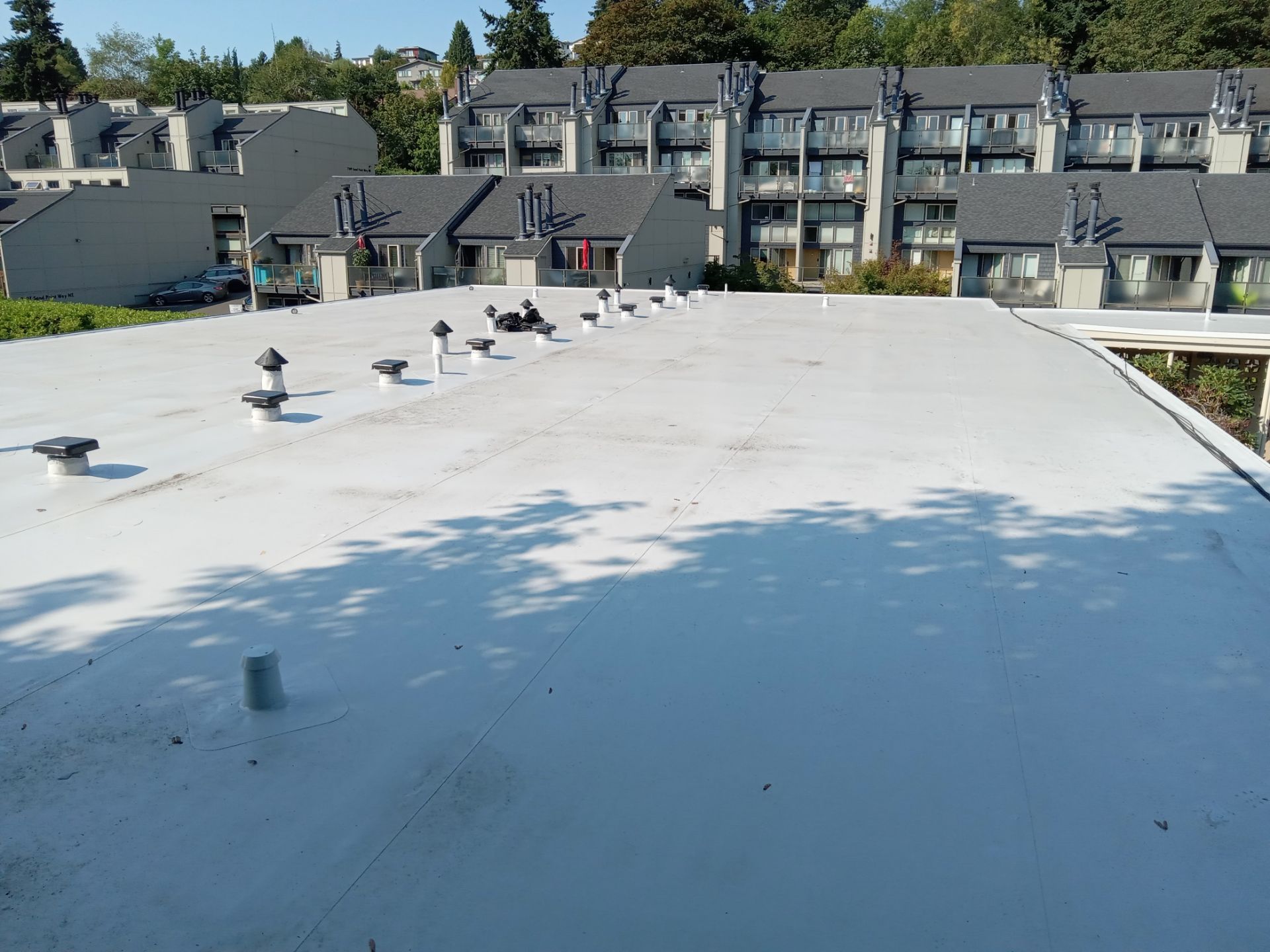 2024 Seattle Multi-Family Overlay by Alternative Roofing Systems Inc. 
