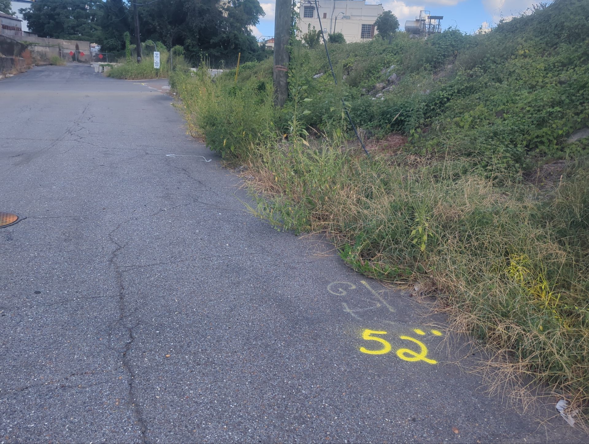 Utility Locate and Utility Mapping for Survey by Alsip Locating Service, LLC
