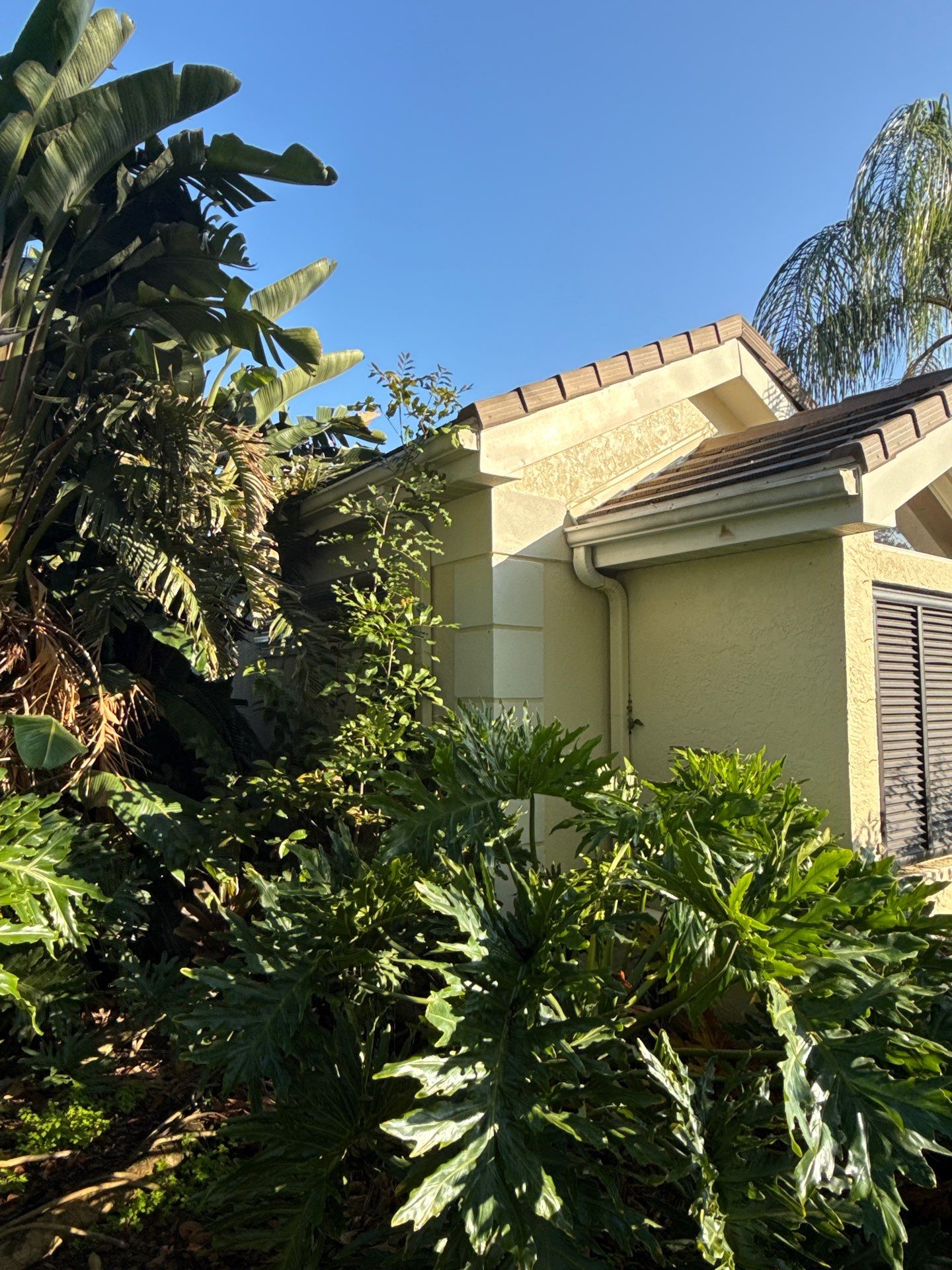 Clean and Repair Gutters in Osprey FL by Gutter Professors