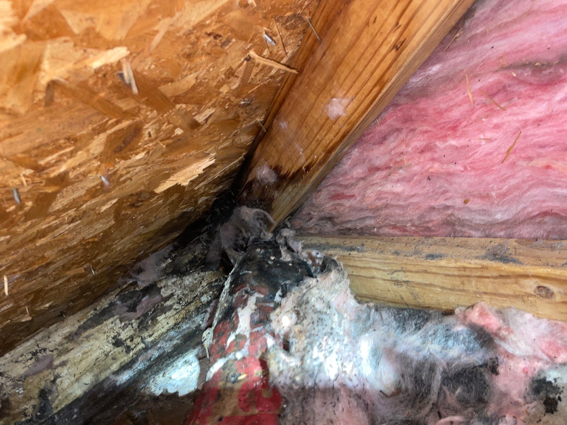 Project in Glen Burnie, MD by Blue Handyman   LLC