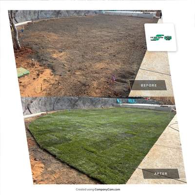 Project in Camino