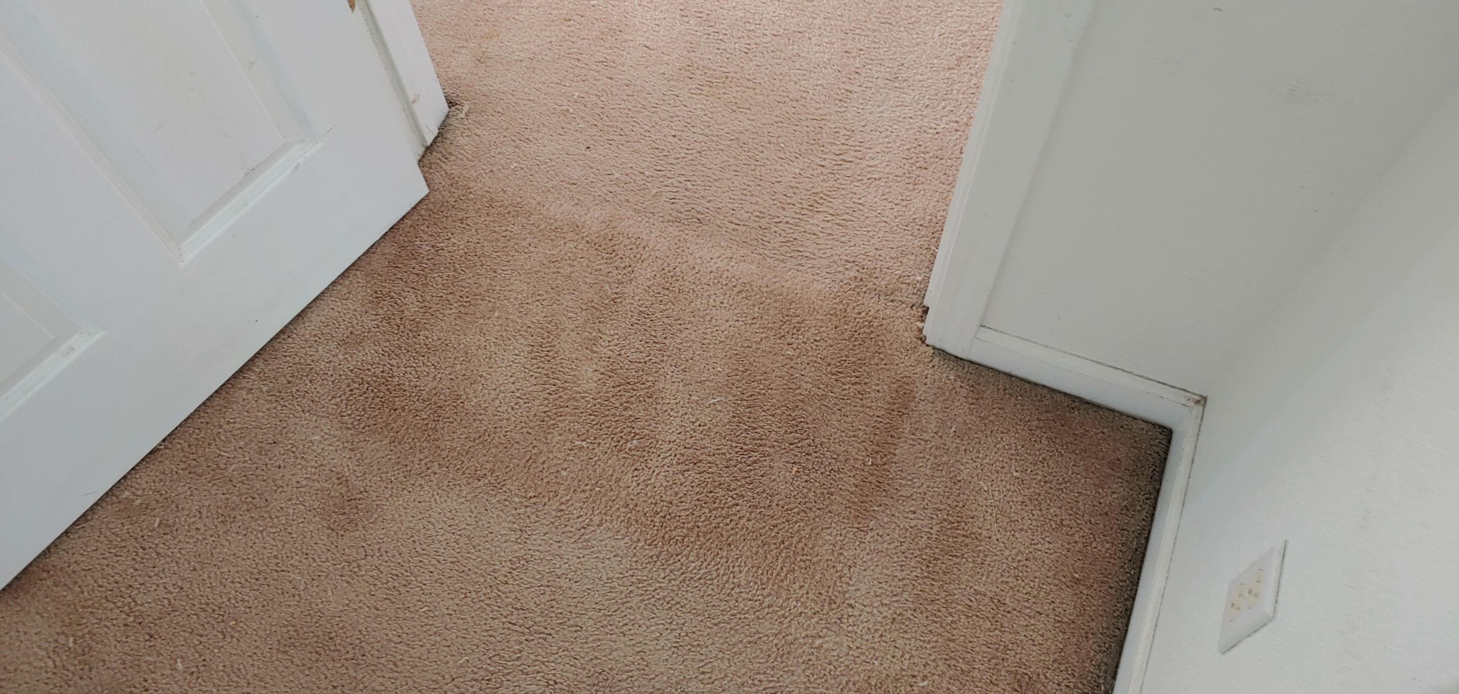 Repairing Carpet Damaged by Pets by Ardent Carpet Restore LLC