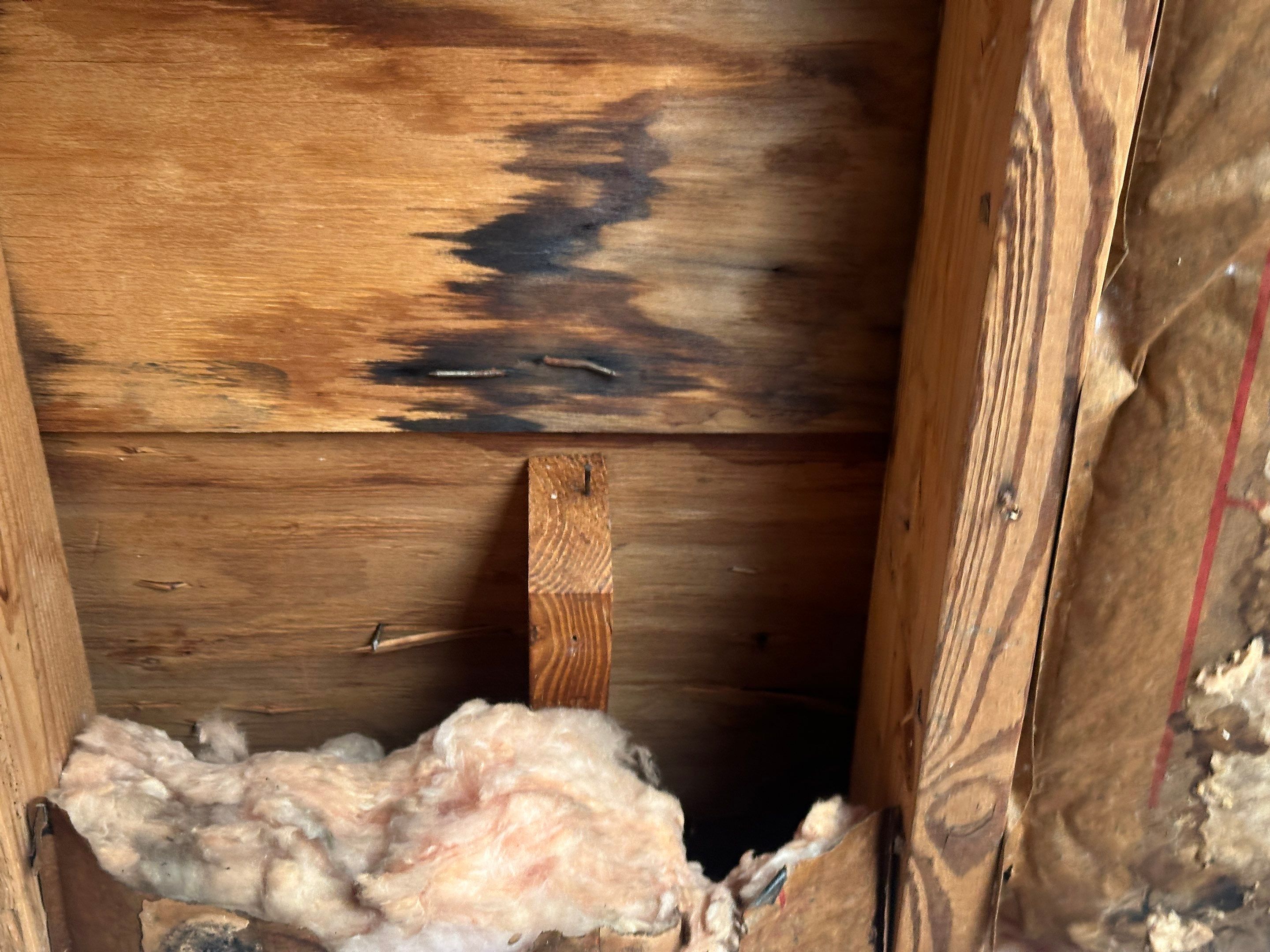Water Damage Claim in St. Petersburg by FLAPA & KeyStone